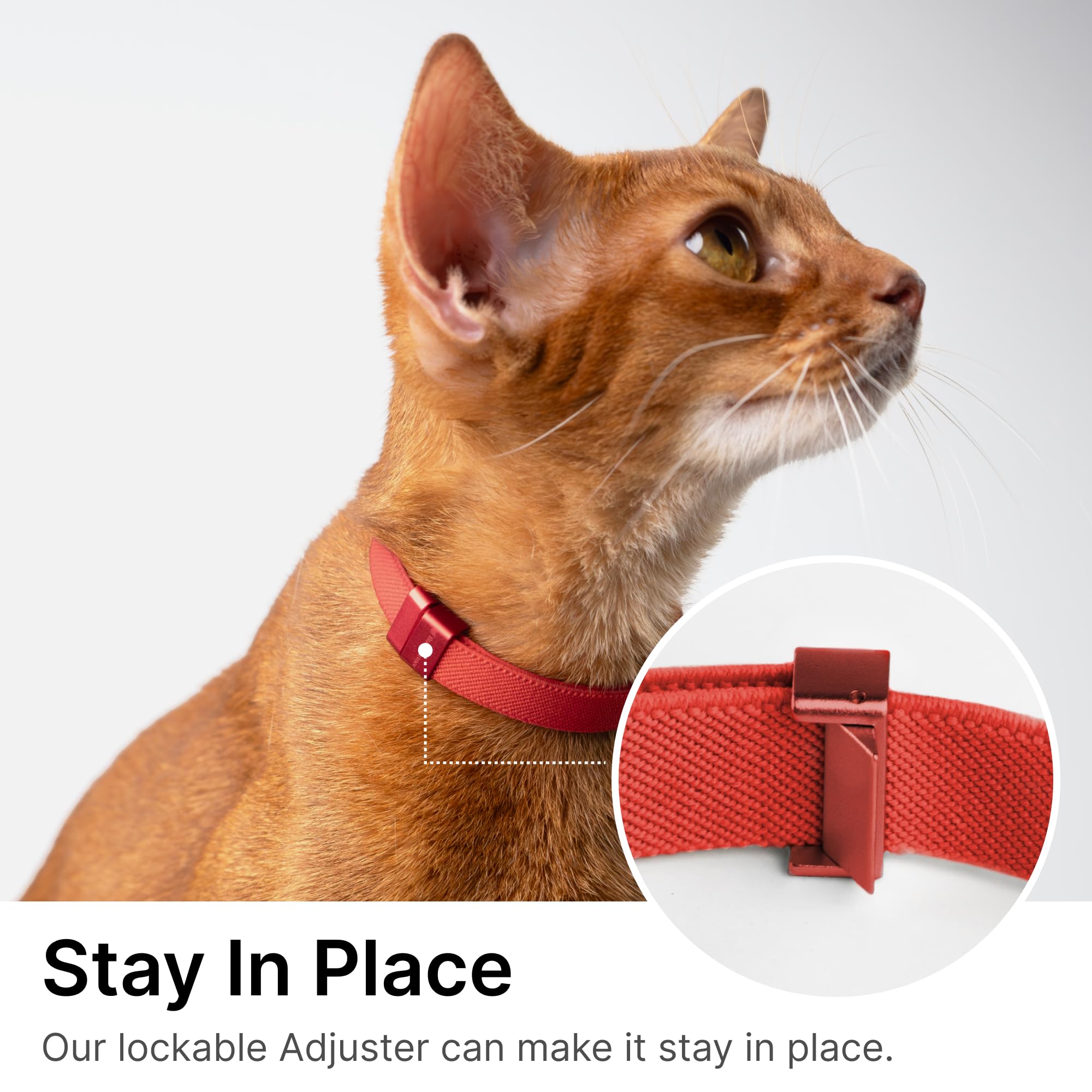 Safety Cat Collar Pro - U.S. Ida Gold Awarding Design, Elastic Quick Release Cat Collar With Buckle Non Breakaway - Lightweight