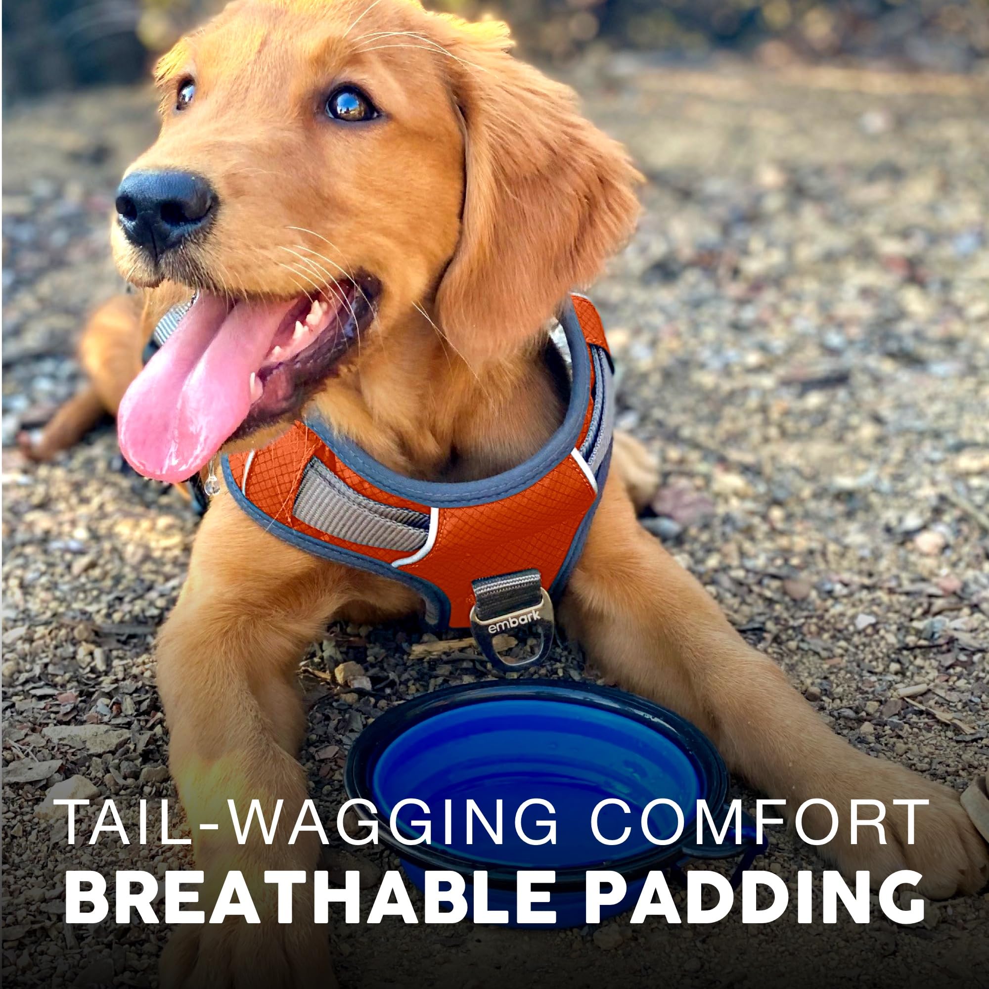 Embark Adventure Dog Harness, No Pull Dog Harness With 2 Leash Clips, Dog Harness For Medium Dogs No Pull. Front & Back With Con