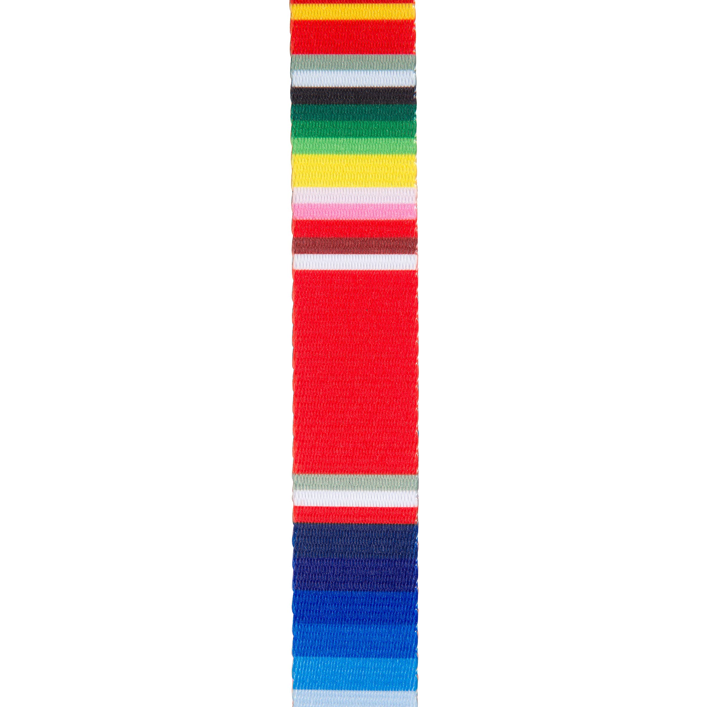 Hooey Nomad Dog Leash, Durable Polyester Webbing Leash With Graphic-Inspired Prints, Serape Tijuana, 6'