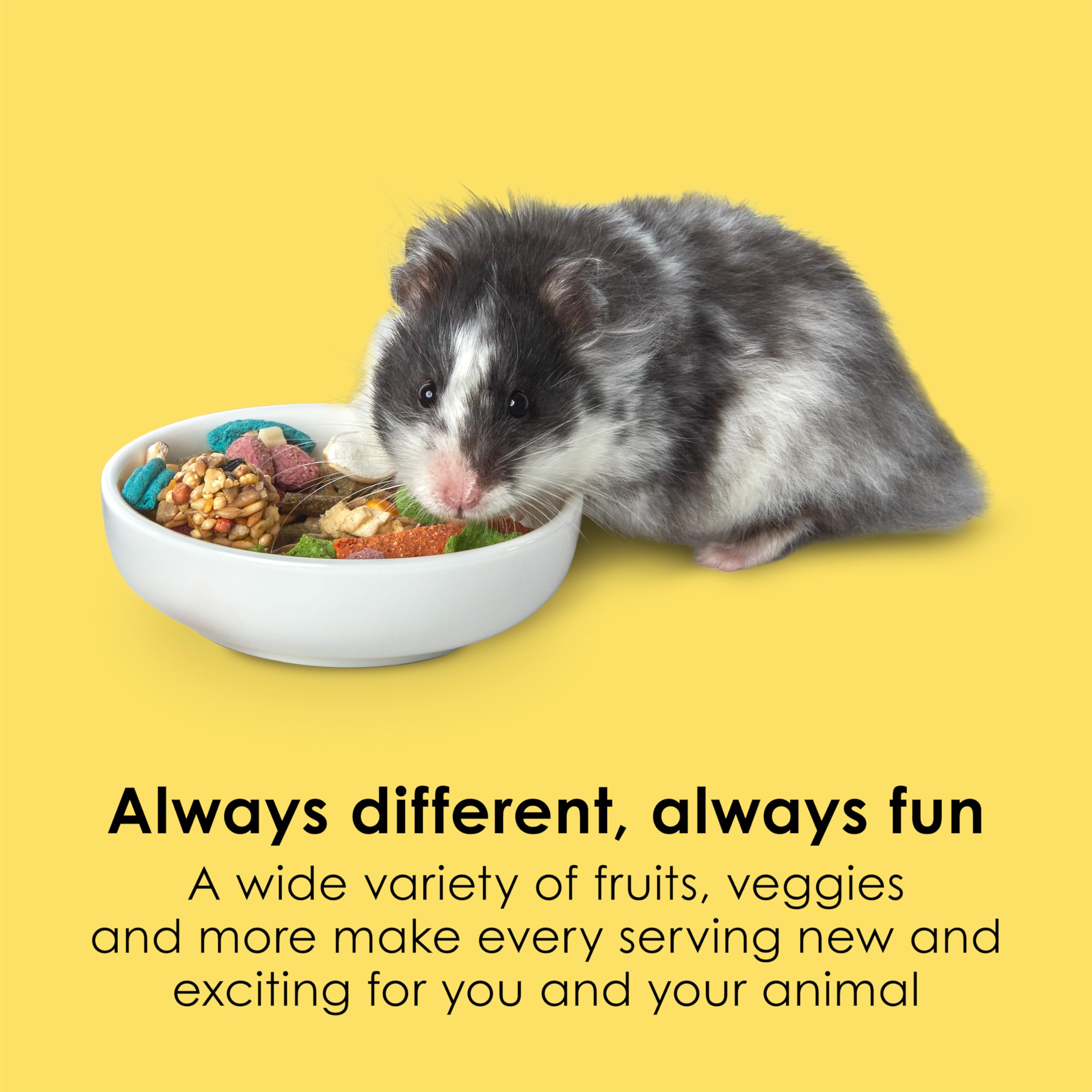 Kaytee Fiesta Hamster and Gerbil Food Flavor Medley 15 Pounds