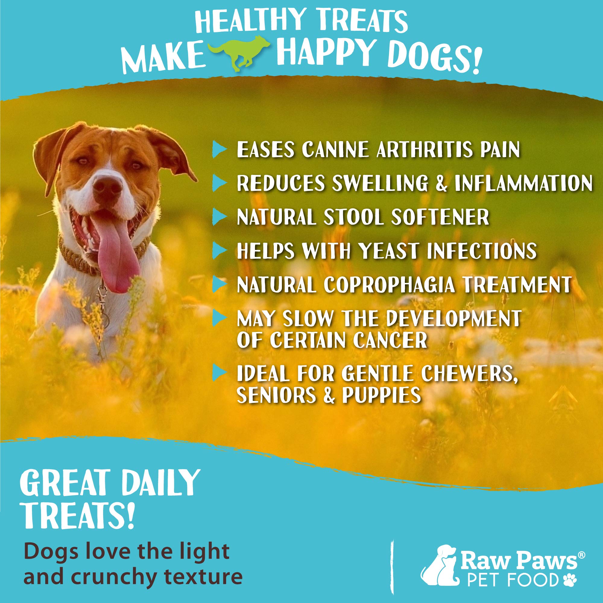 Raw Paws Green Lamb Tripe Sticks for Dogs (25-Count) - Single Ingredient, Grass-Fed & Free Range - Crunchy Lamb Dog Treats - All