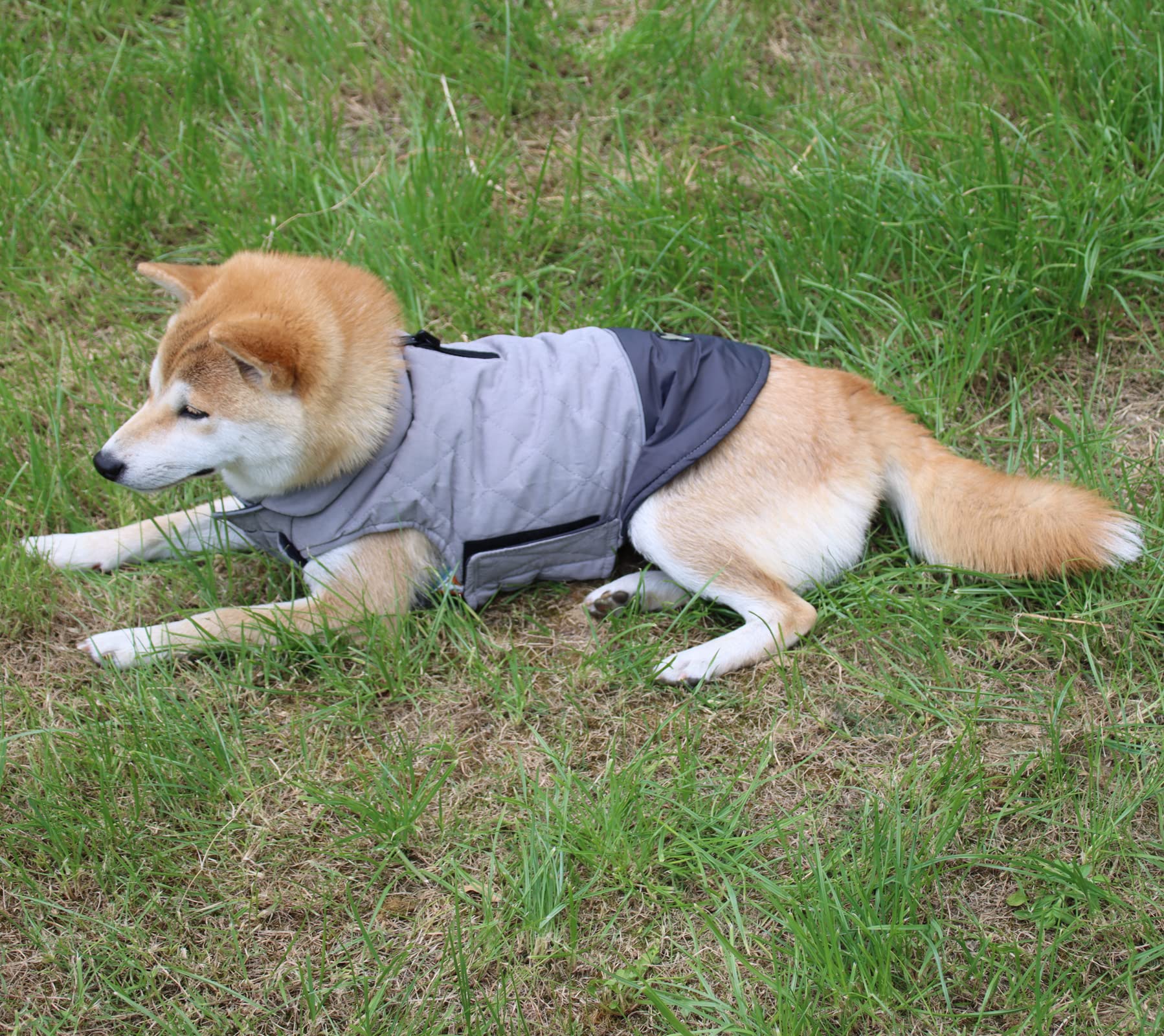 Vecomfy Reversible Dog Coats For Small Dogs Waterproof Warm Puppy Jacket For Cold Winter,Grey Xs