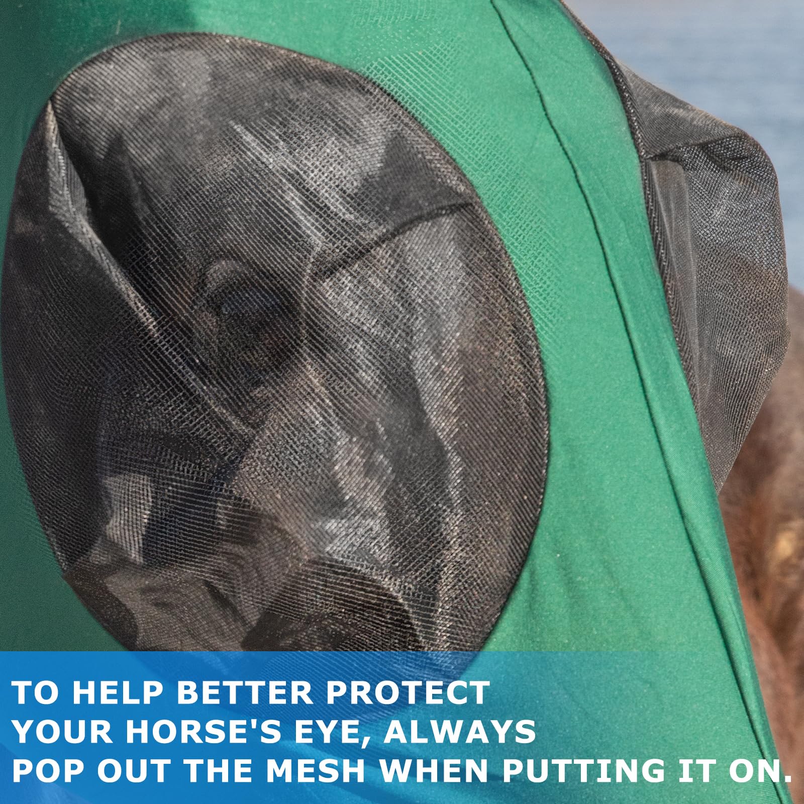 Stretchy Menjo Outdoors Horse Fly Mask with Ears, UV Protection for Horses, Breathable Comfortable Forest Green Fly Mask Suitabl
