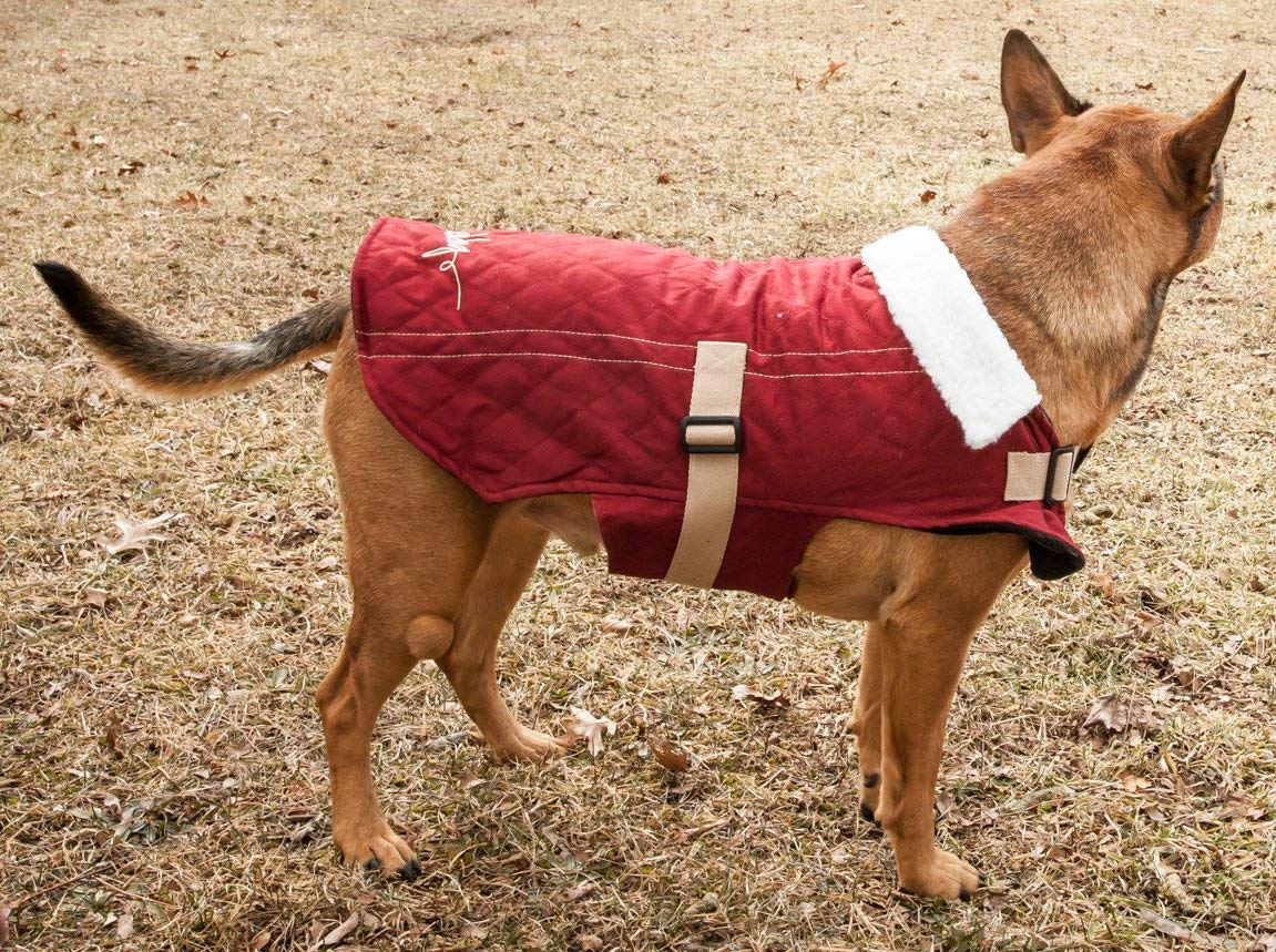 Touchdog 'Sherpa-Bark' Original Designer Fashion Pet Dog Coat Jacket, Large, Dark Pink
