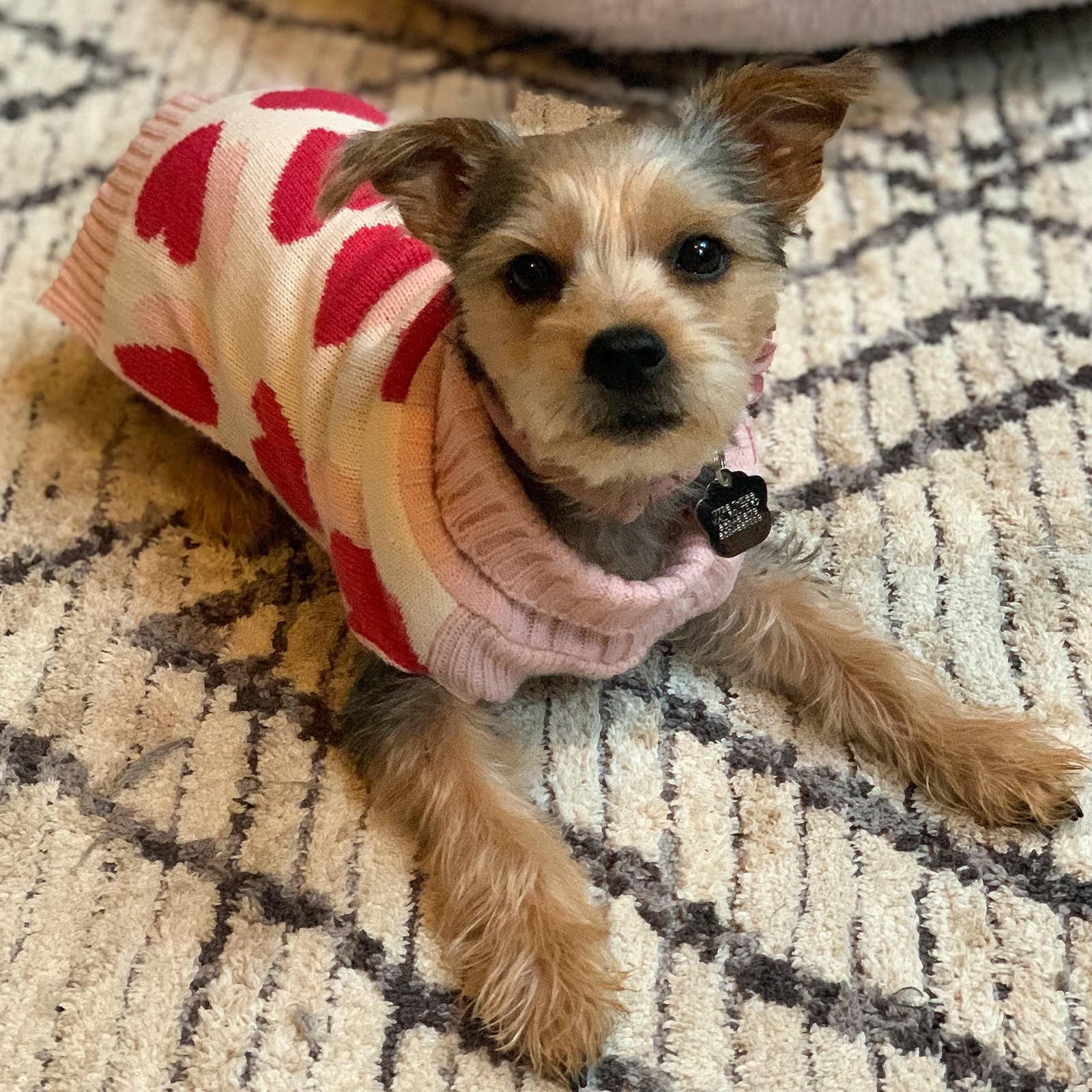 Kyeese Dogs Sweaters Red Heart With Leash Hole,Xs