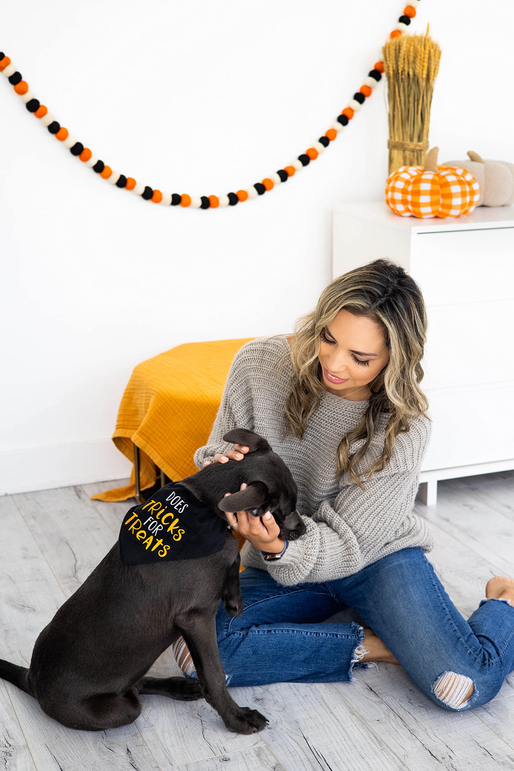 Pearhead Trick Or Treat Bandana, Fall Holiday Dog Apparel, Halloween Dog Costume, Dog Slip On Collar Accessories, Small/Medium, S/M