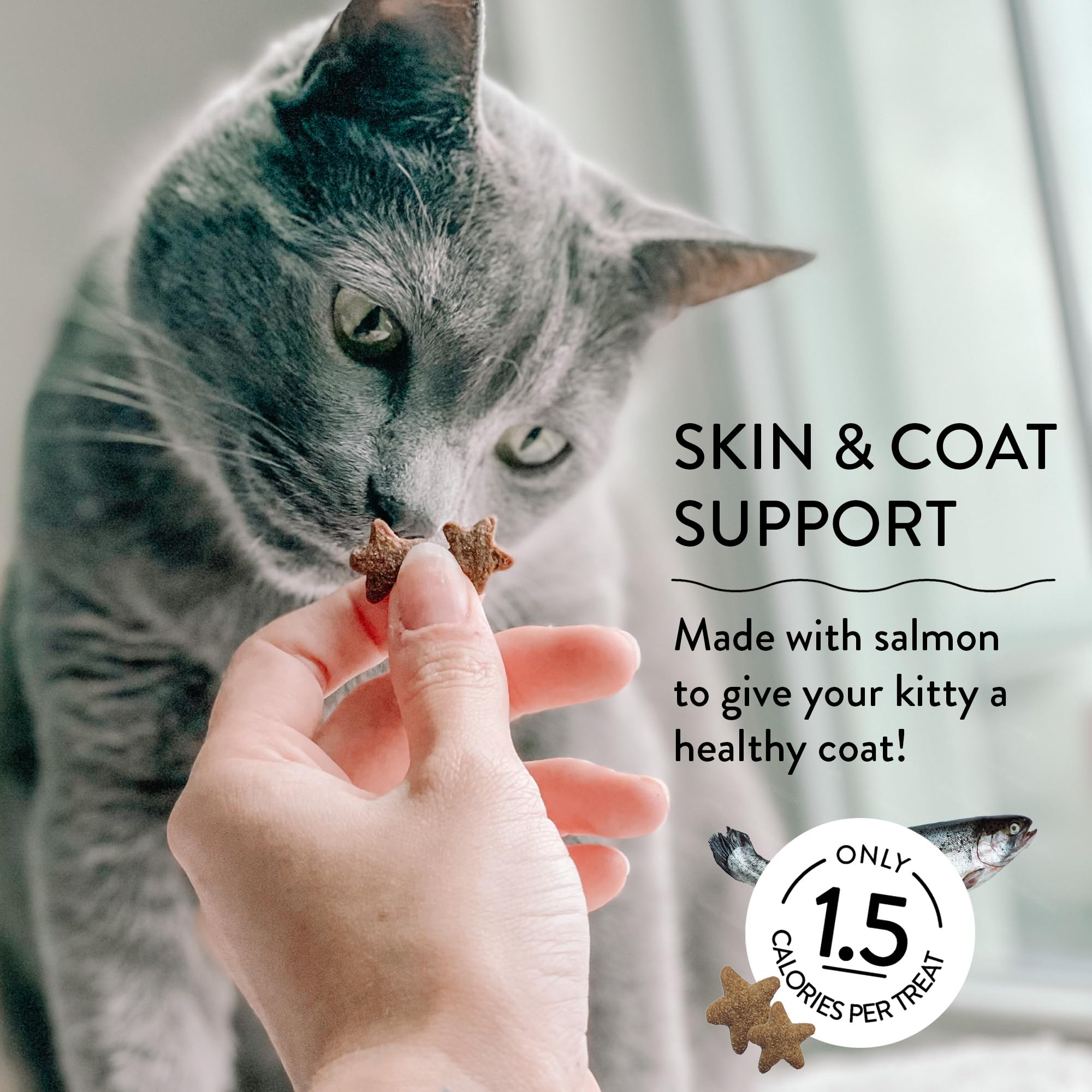 Shameless Pets Crunchy Cat Treats - Kitty Treats for Cats with Skin & Coat Support, Natural Ingredients Kitten Treats with Real