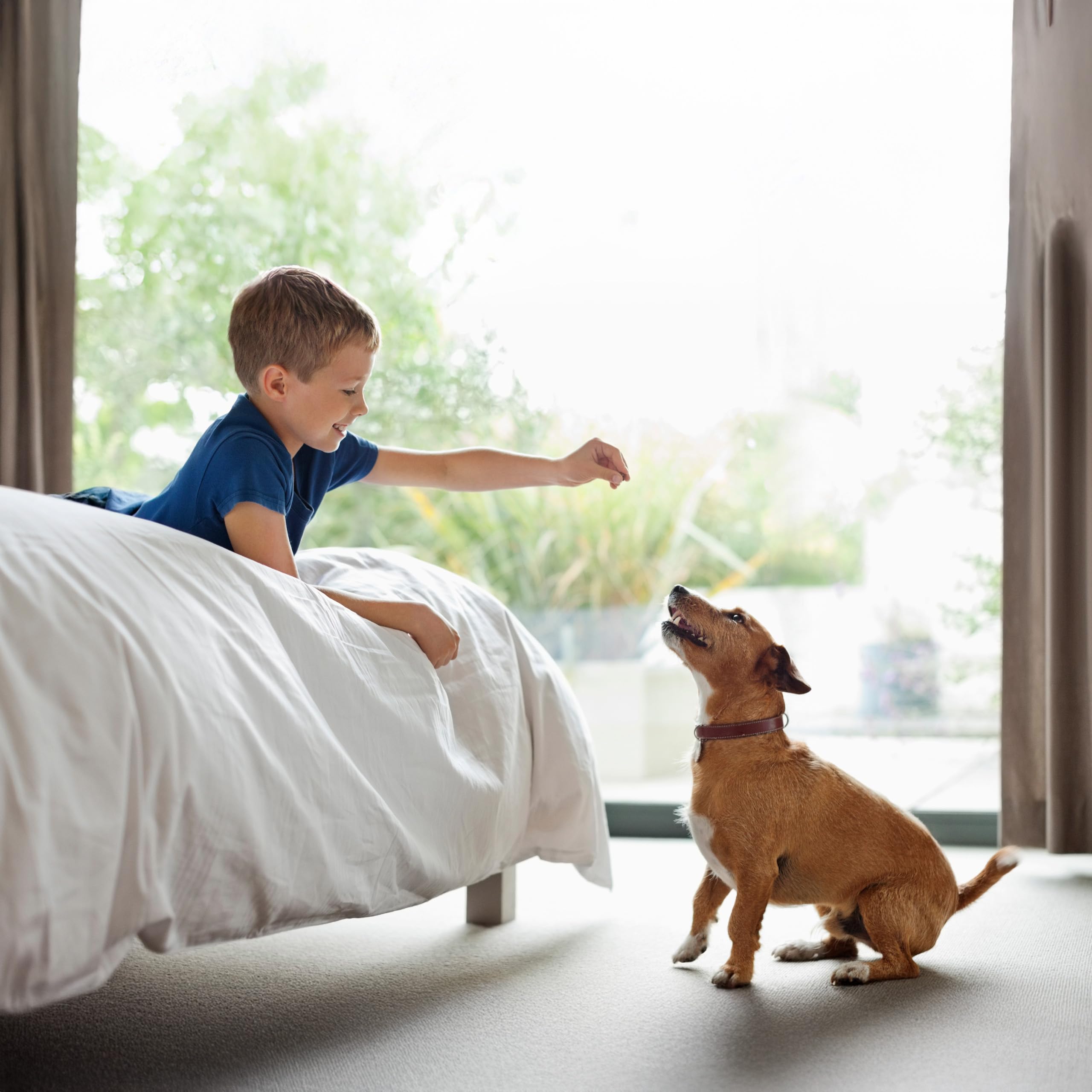 Exclusively Dog Best Buddy Bits Training Treats for Dogs and Puppies - All Natural, Baked in The USA, Ideal for Training & Agili