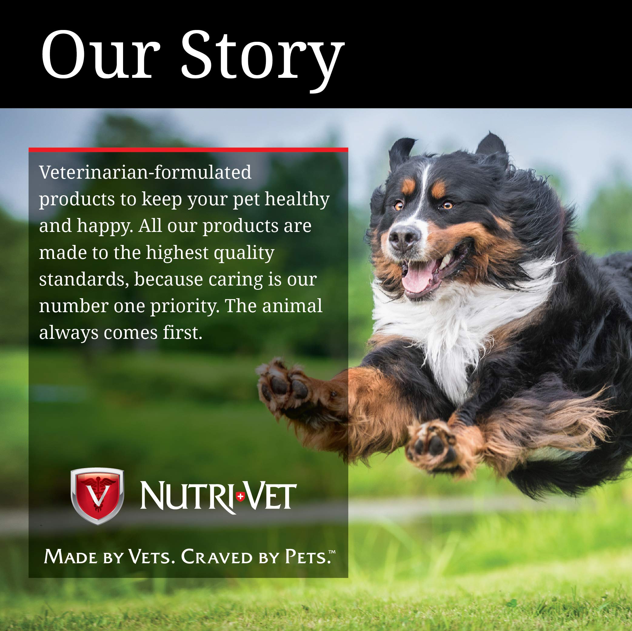 Nutri-Vet Canine Topical Wound Spray, 4 Ounce