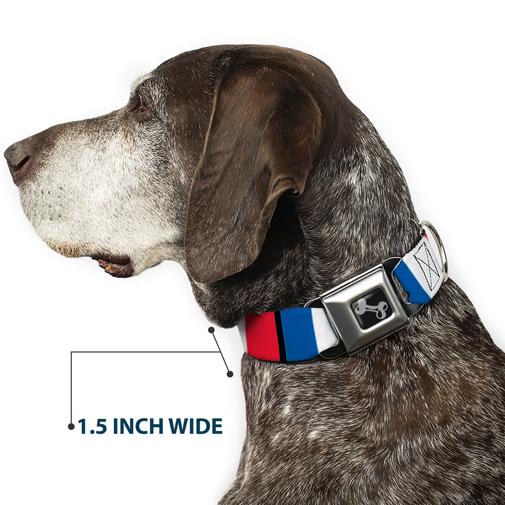 Buckle-Down Seatbelt Buckle Dog Collar - France Flags - 1.5 Wide - Fits 13-18 Neck - Small