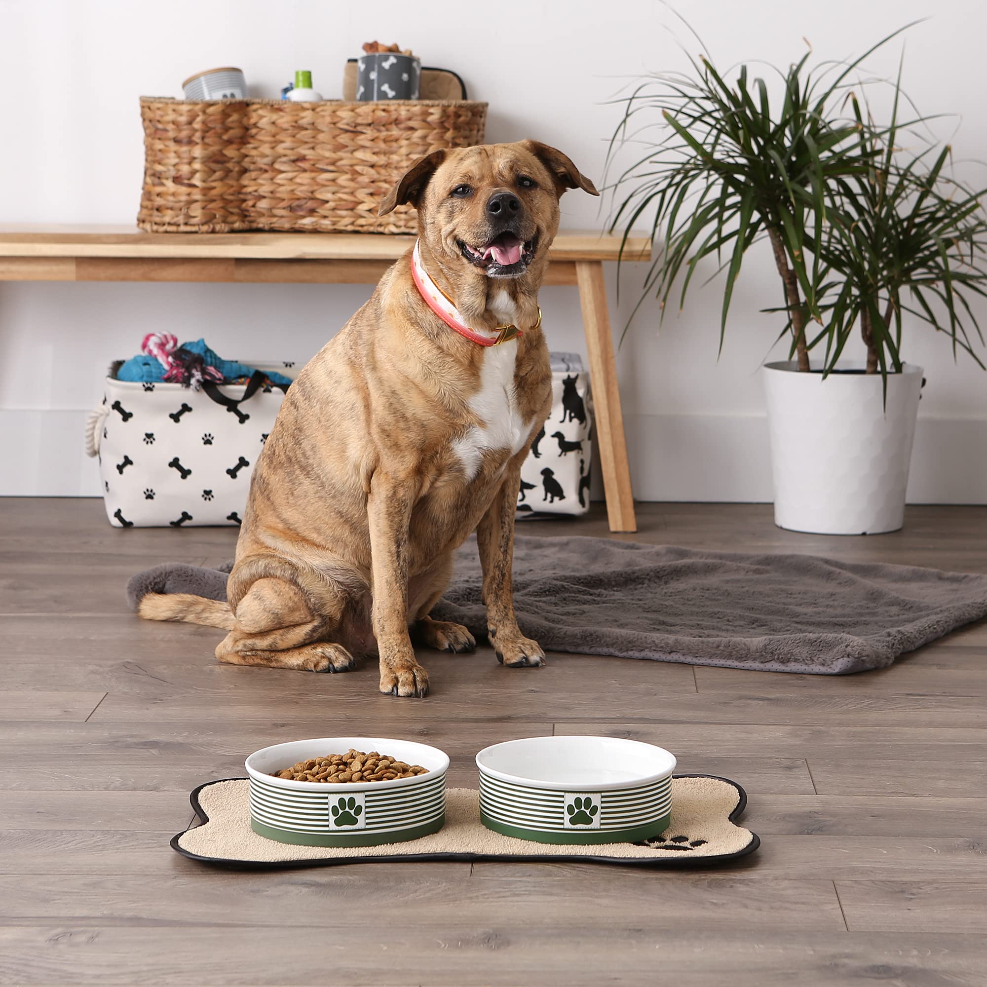 Bone Dry Paw & Patch Ceramic Pet Collection, Large Set, 7.5x2.4, Hunter Green, 2 Piece,5742