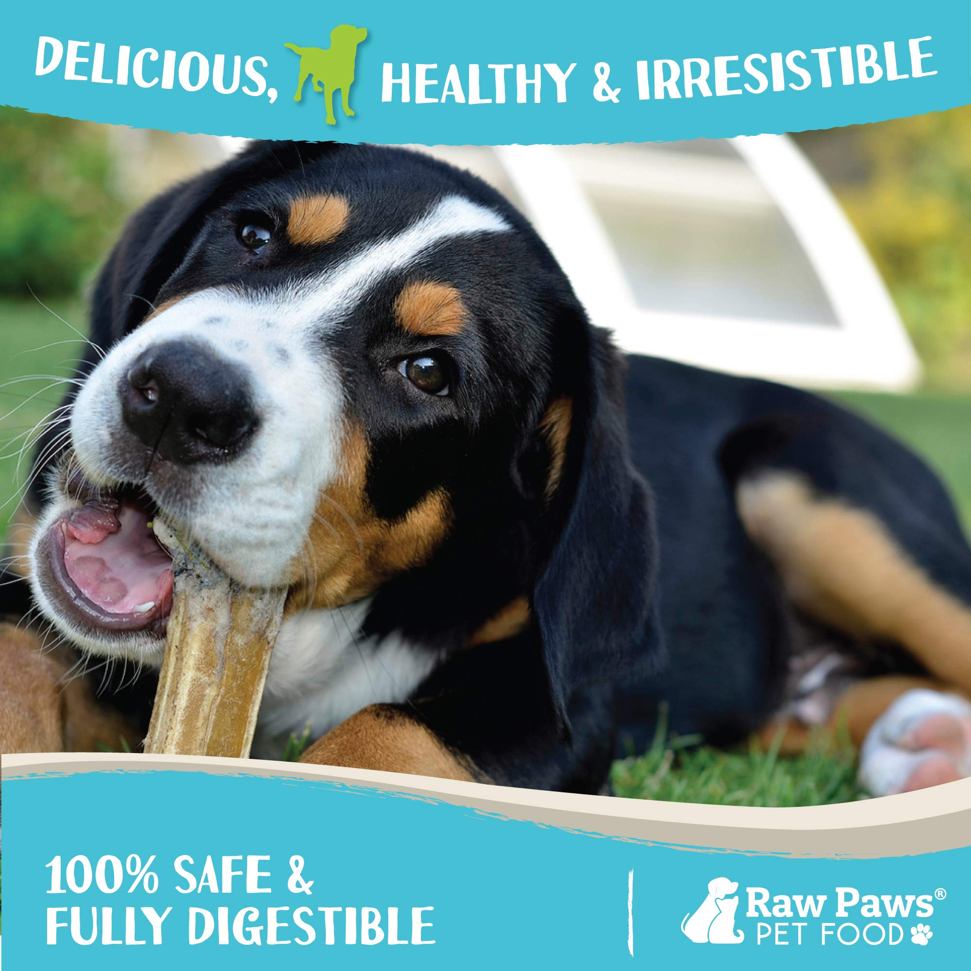Raw Paws Compressed Rawhide Dog Chew Variety Pack, 10 Pack - 5 Compressed Rawhide Sticks & 4 Bones, Aggressive Chewers Pressed R