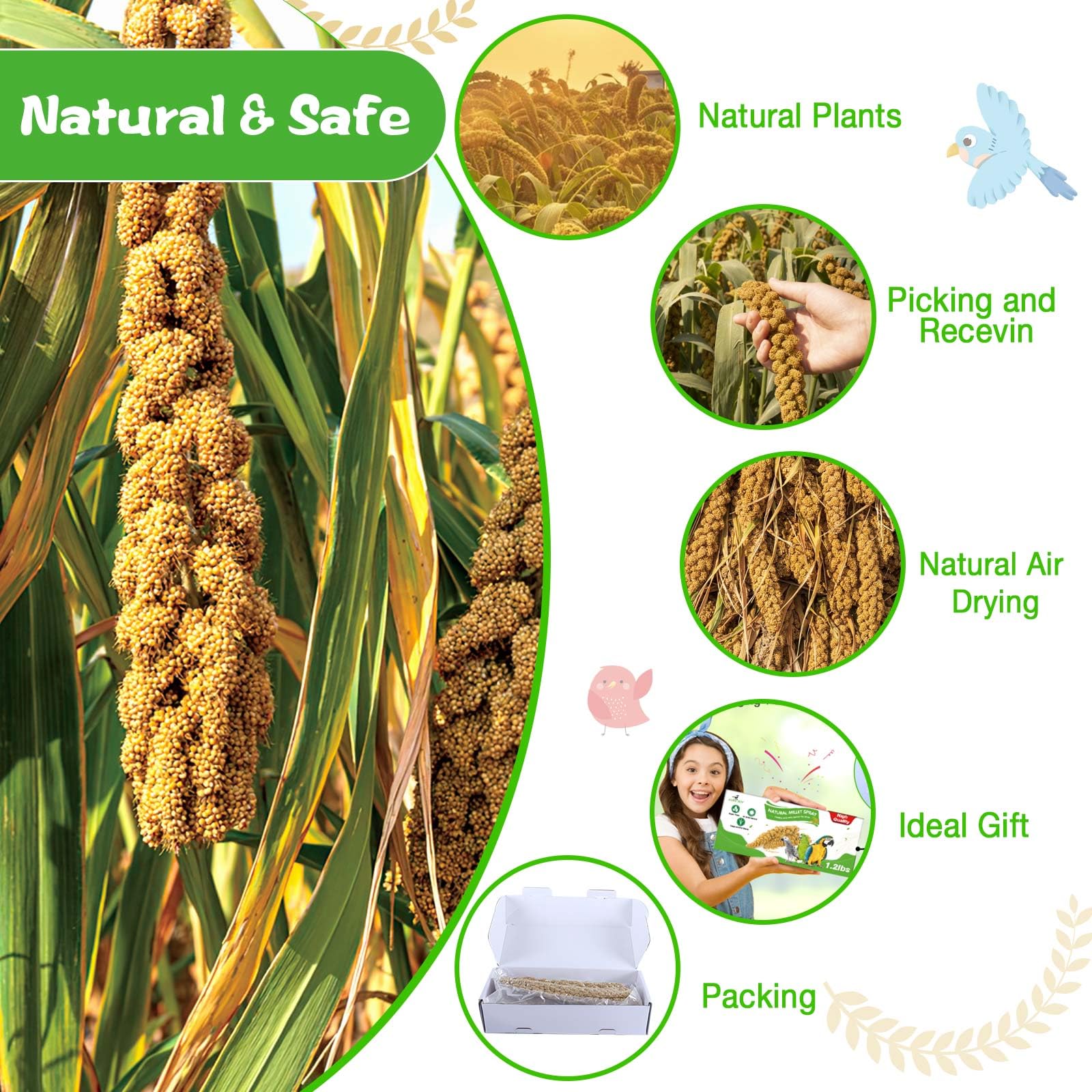Millet for Birds 2.4LB, Natural Sun-Dried Millet Spray for Birds Seed No Stems Only Edible Tops for Parakeet, Budgies, Finches,