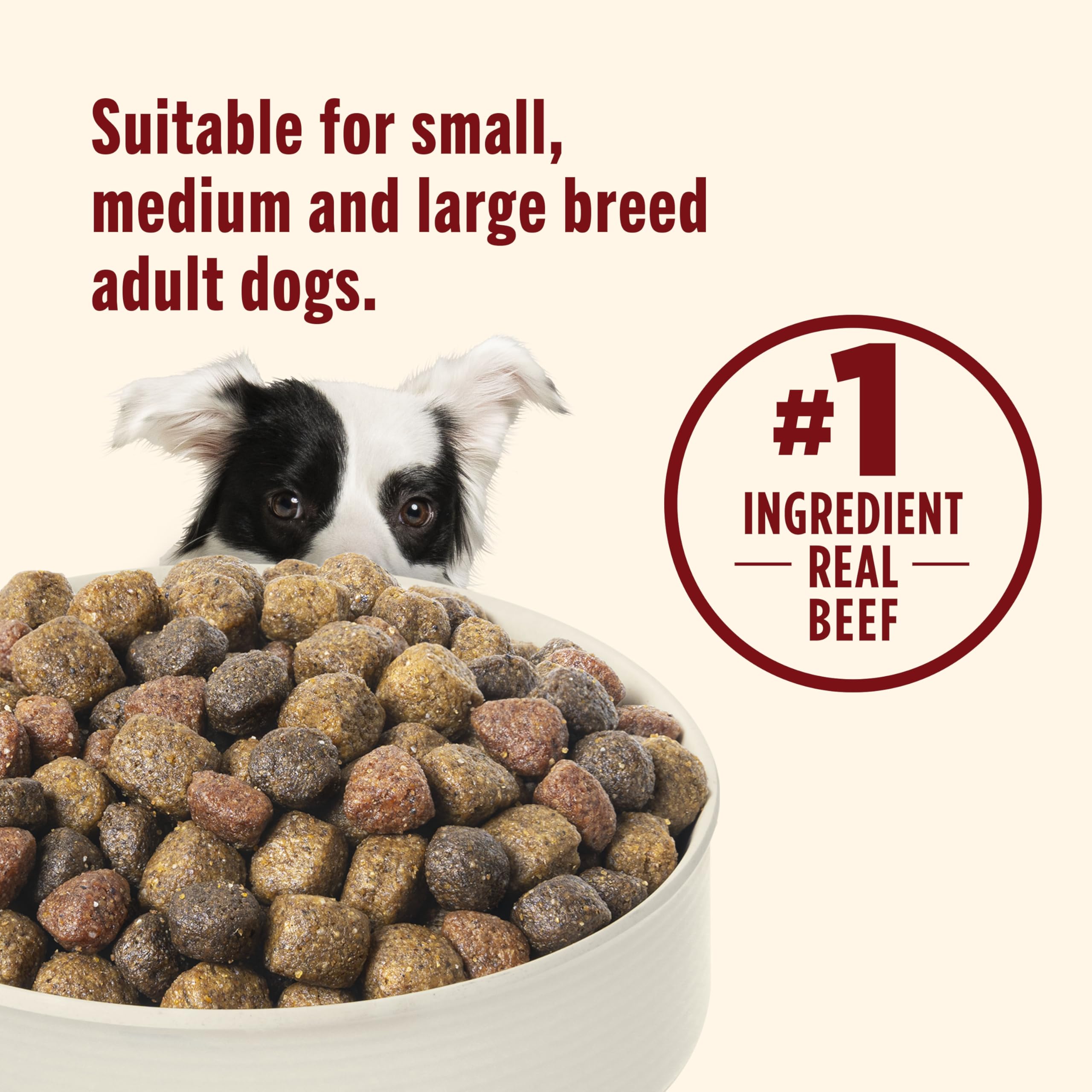 Nutrish Real Beef, Pea & Brown Rice Recipe Whole Health Blend Dry Dog Food, 28 lb. Bag (Rachael Ray)