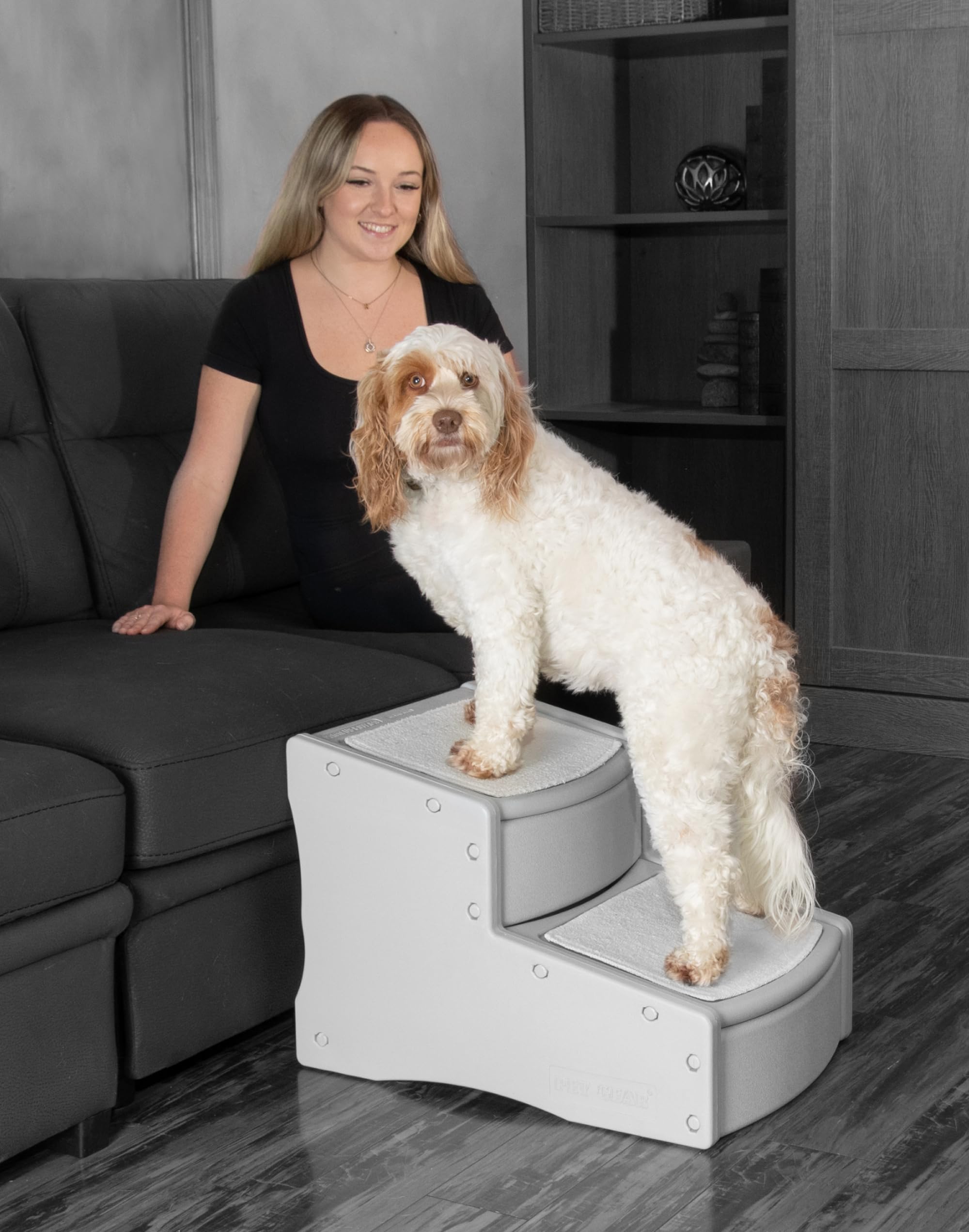 Pet Gear Easy Step Ii Extra Wide Pet Stairs, 2 Step For Dogs/Cats Up To 200 Pounds, Removable/Washable Carpet, Easy Assembly (No