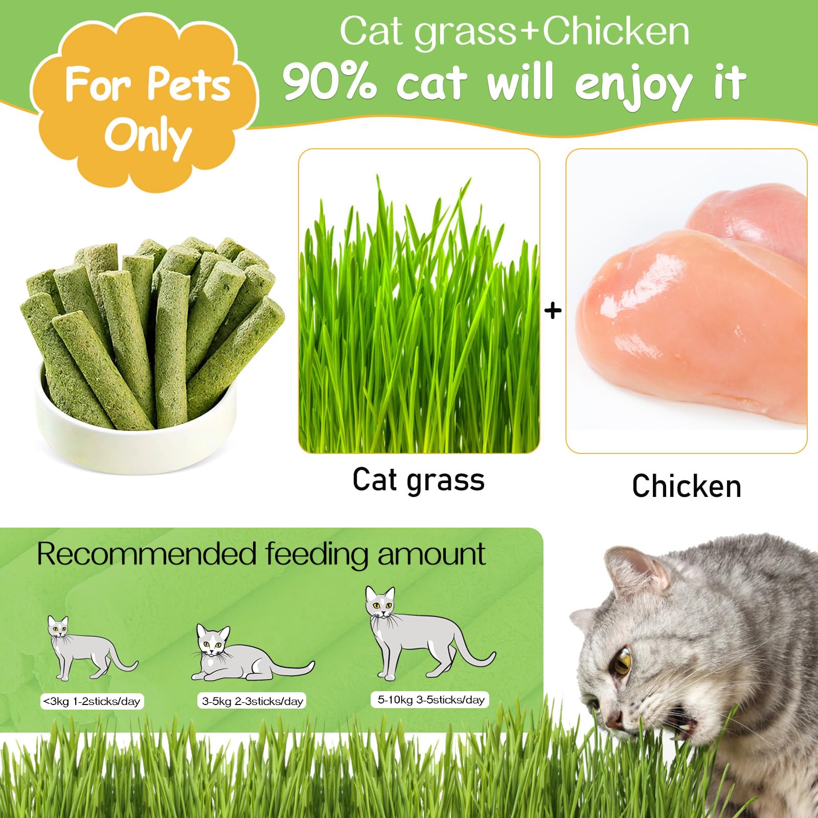 HavenJanny 100g Cat Grass Teething Stick, Freezed Drying Cat Grass Sticks Snacks for Cats, Edible Cats Treats for Teeth Cleaning