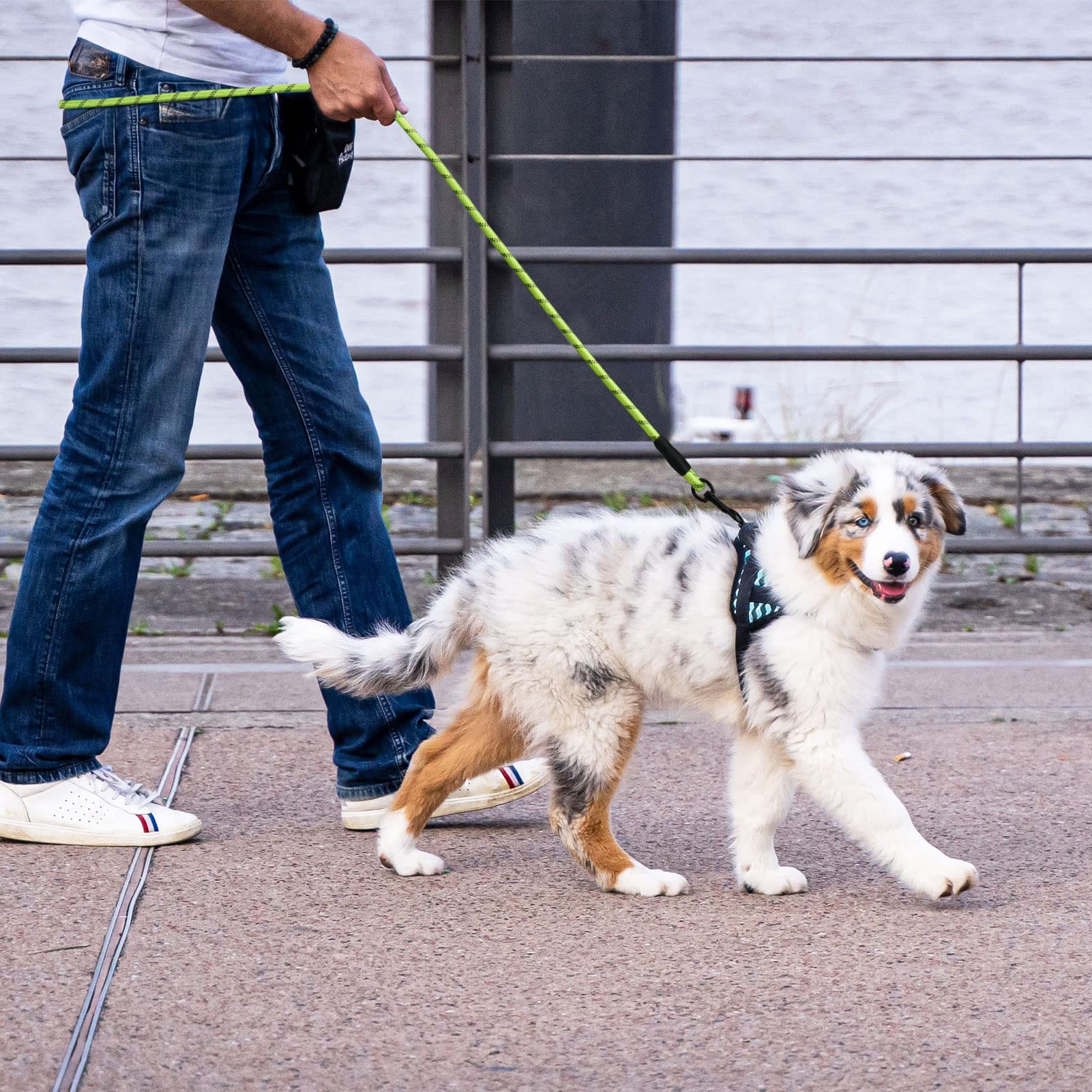 Panykoo 5 Ft Strong Pet Dog Leash With Highly Reflective Threads,360-Degree No Tangles And Comfortable Padded Handle,Suitable For Small,Medium And Large Dogsds