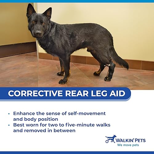 Walkin Rear No-Knuckling Training Sock  Helps Dogs Pick up Their Feet When Knuckling Under or Dragging Their Rear Paws