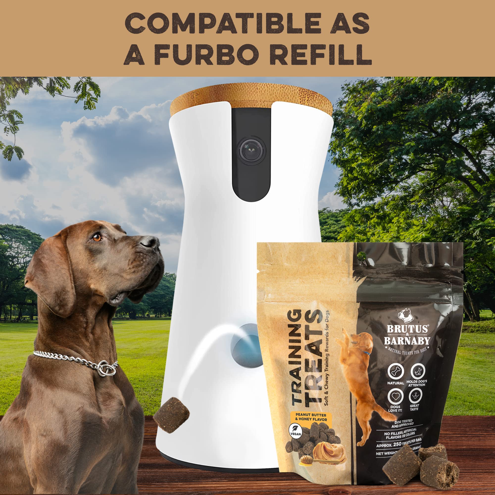 BRUTUS & BARNABY Training Treats for Dogs - Peanut Butter & Honey - All-Natural Healthy Low Calorie Vegetarian Treat - Great to