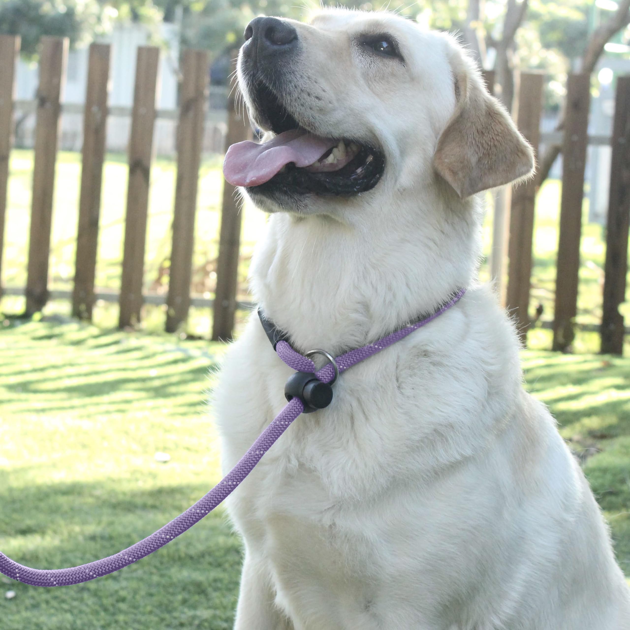 Hiado Slip Lead Dog Leash Reflective With Stopper Loop Rope Training No Pull For Small Medium Large Dogs 7Ft Lavender