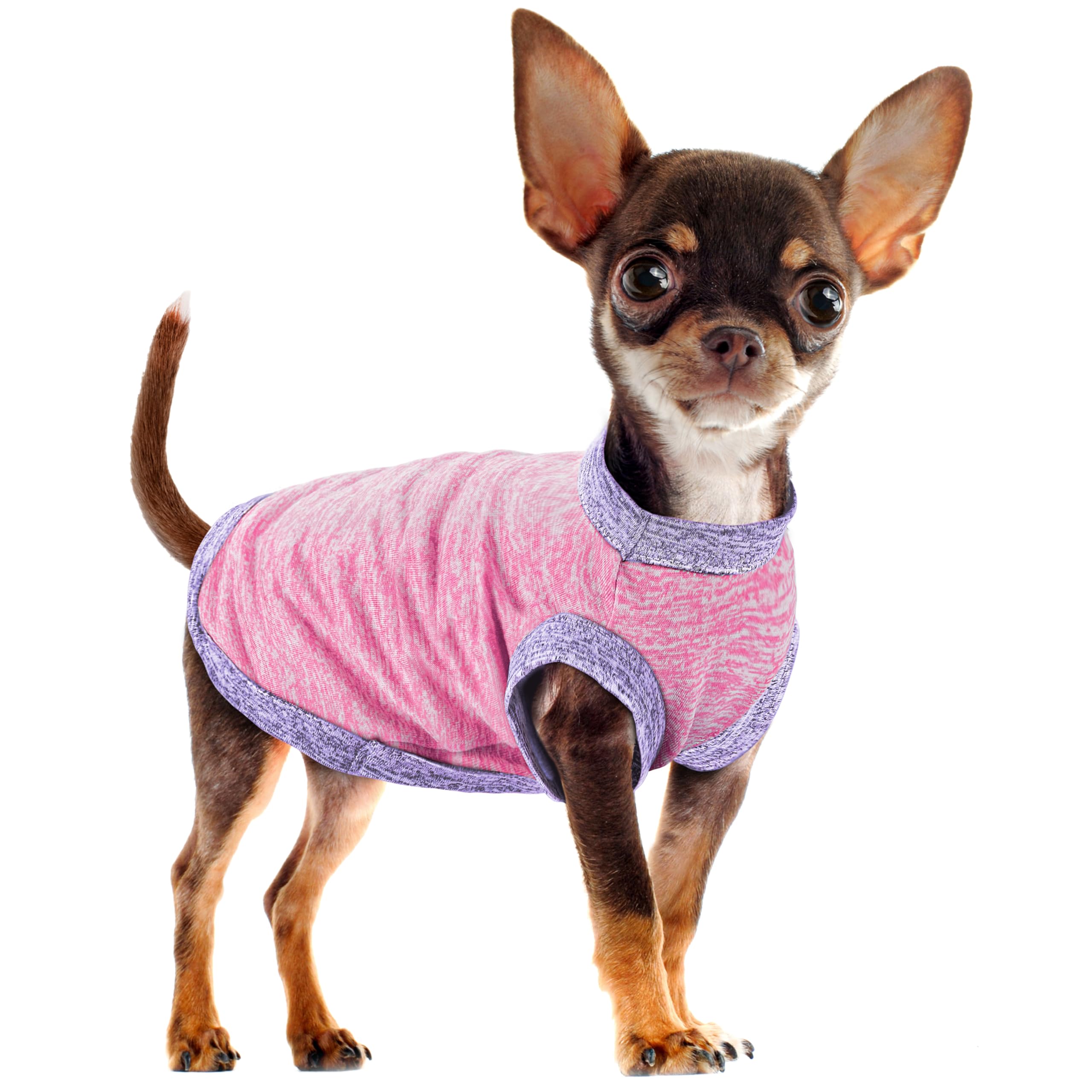 Paiaite Chic Ion Polyester Dog Vest: Adorable Fashion Dog Apparel For Small, Medium, And Large Breeds, Moisture-Wicking, Soft, A