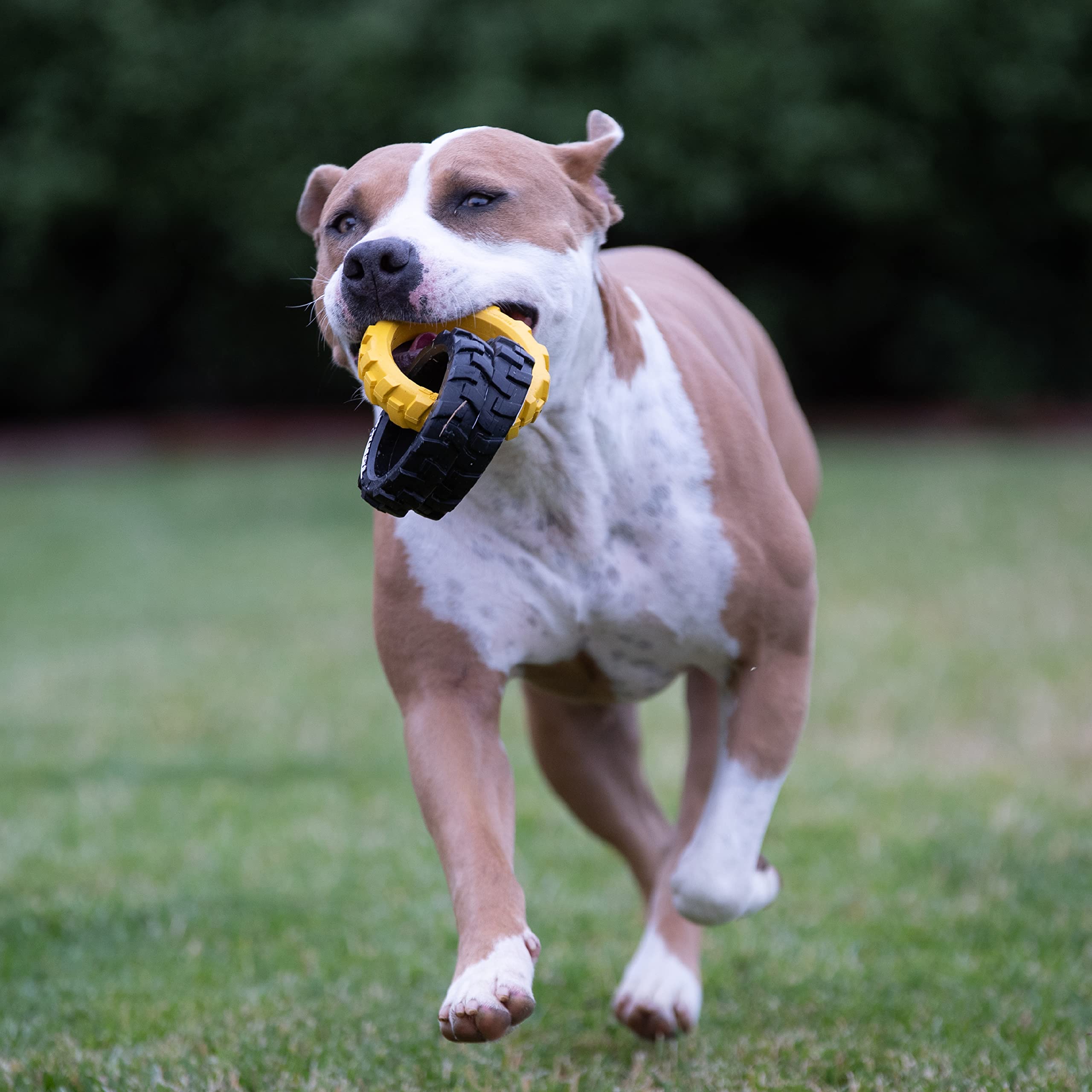 Tonka Rubber 3-Ring Tug Dog Toy, Durable & Water Resistant, 10.5 for Medium/Large Breeds, Yellow/Black