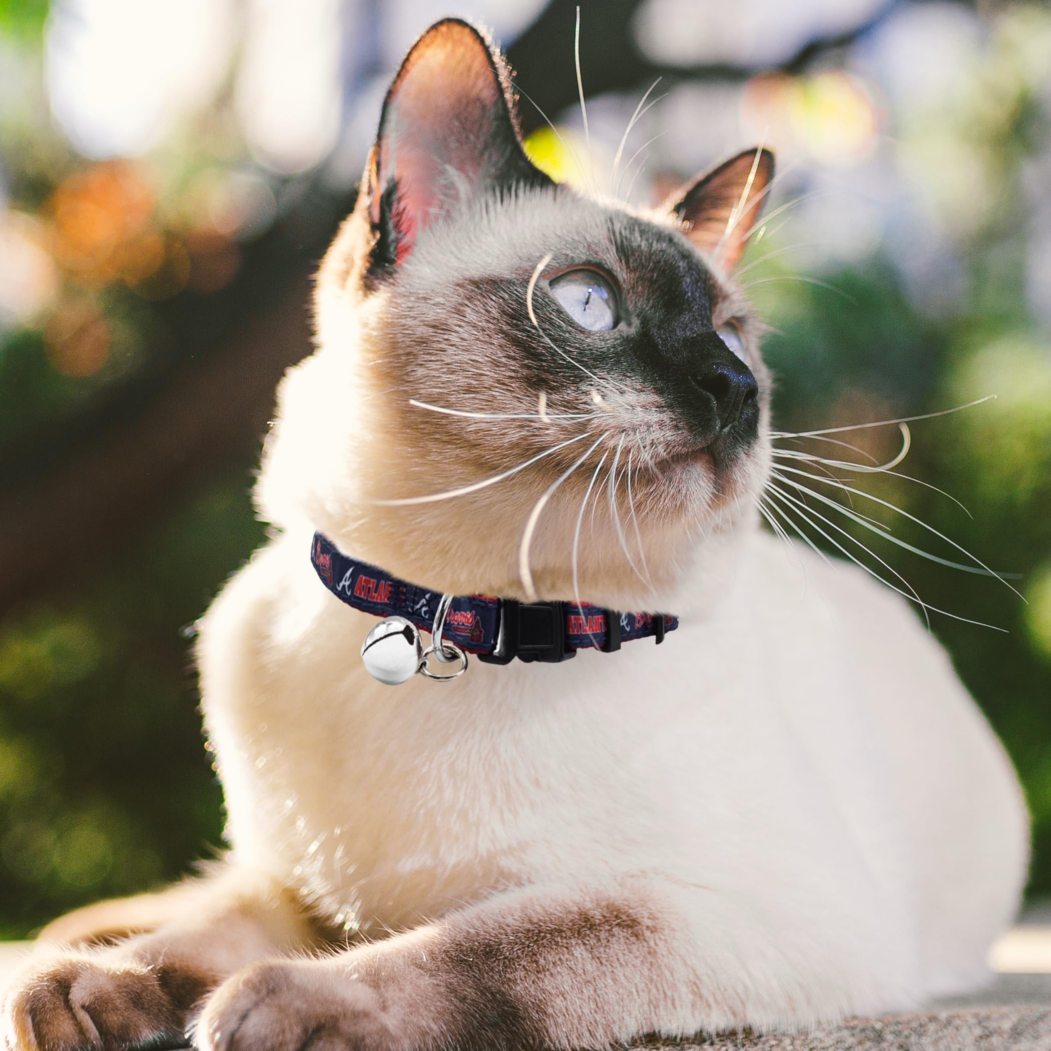 Mlb Cat Collar Atlanta Braves Satin Cat Collar Baseball Team Collar For Dogs & Cats. A Shiny & Colorful Cat Collar With Ringing