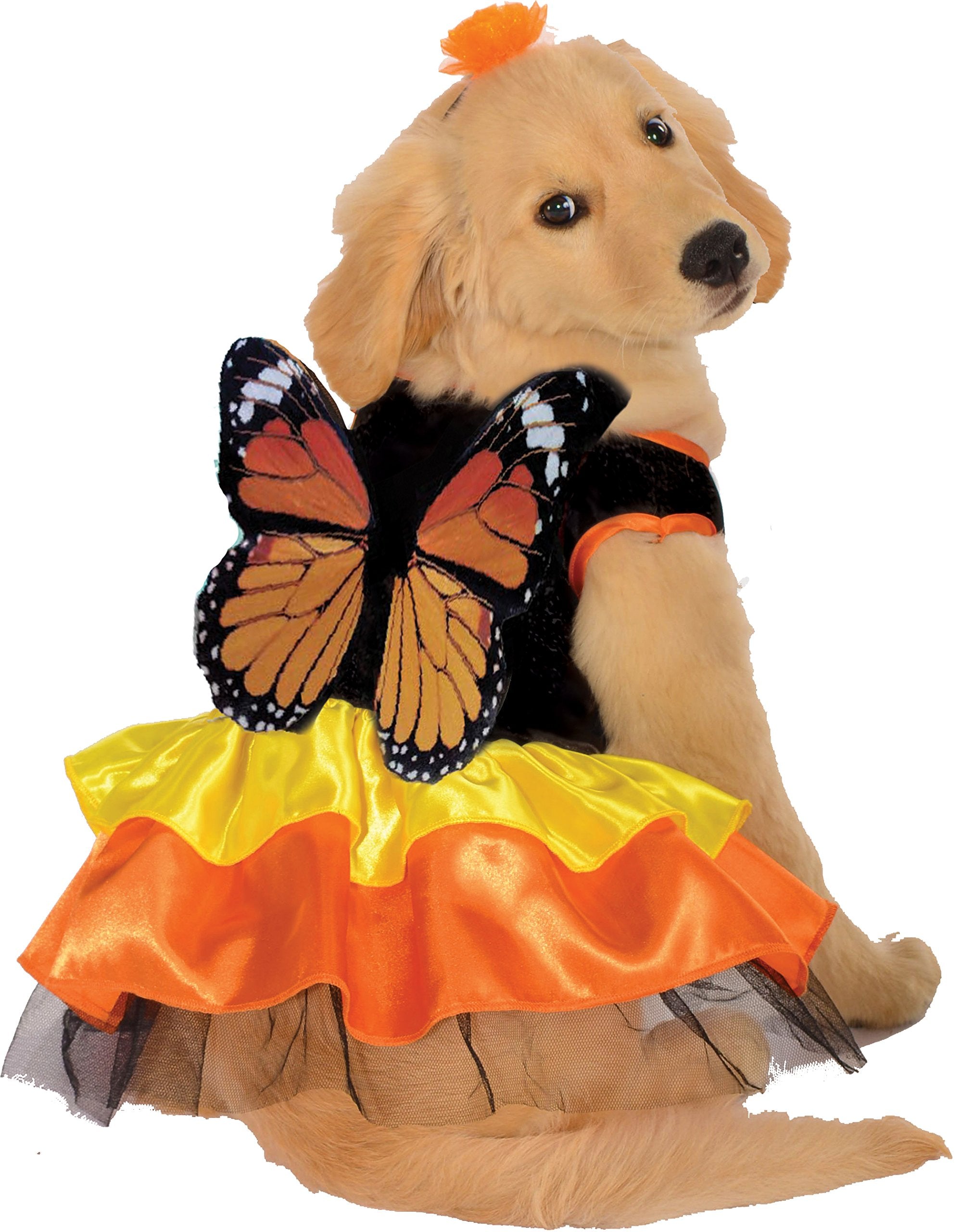 Rubie'S Monarch Butterfly Pet Costume, X-Large As Shown