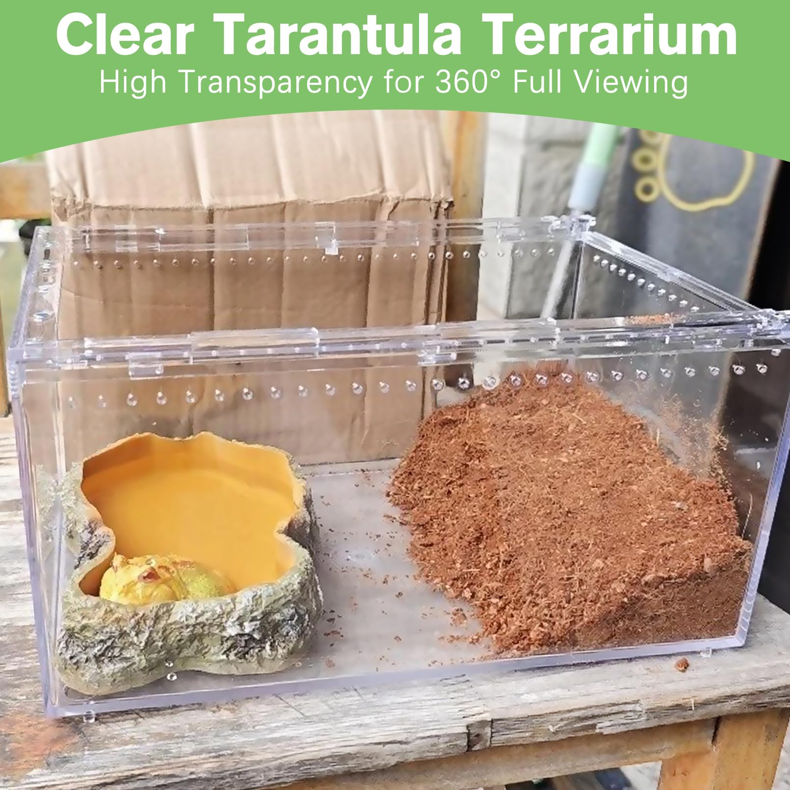 Apatal Acrylic Tarantula Enclosure Box No Assembly Reptile Terrarium 8x6x4in Transparent Sling Cage Magnetic Jumping Spiders Hab