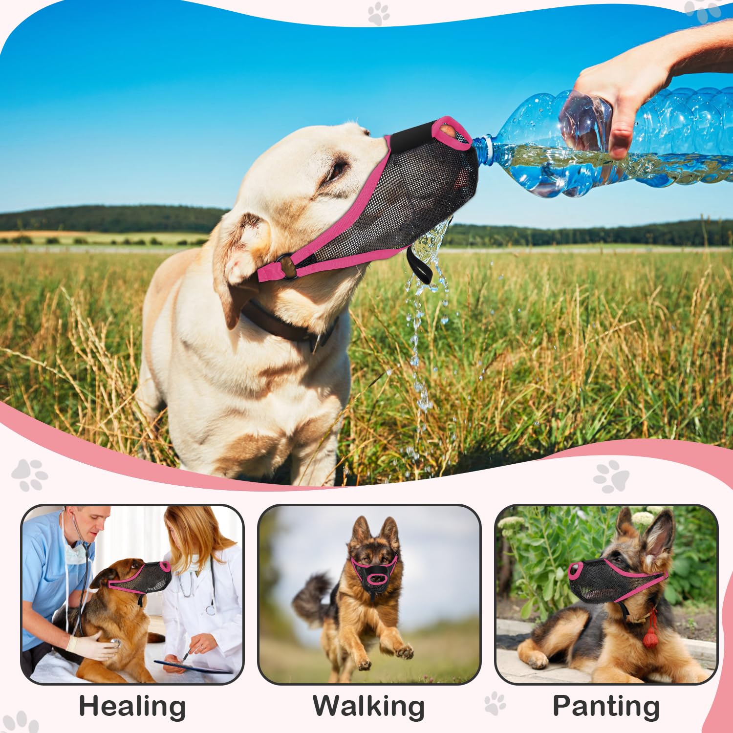 Dog Muzzle, Soft Air Mesh Muzzle for Small Medium Large Dogs Anti Biting Barking Chewing Scavenging, Breathable Adjustable Loop