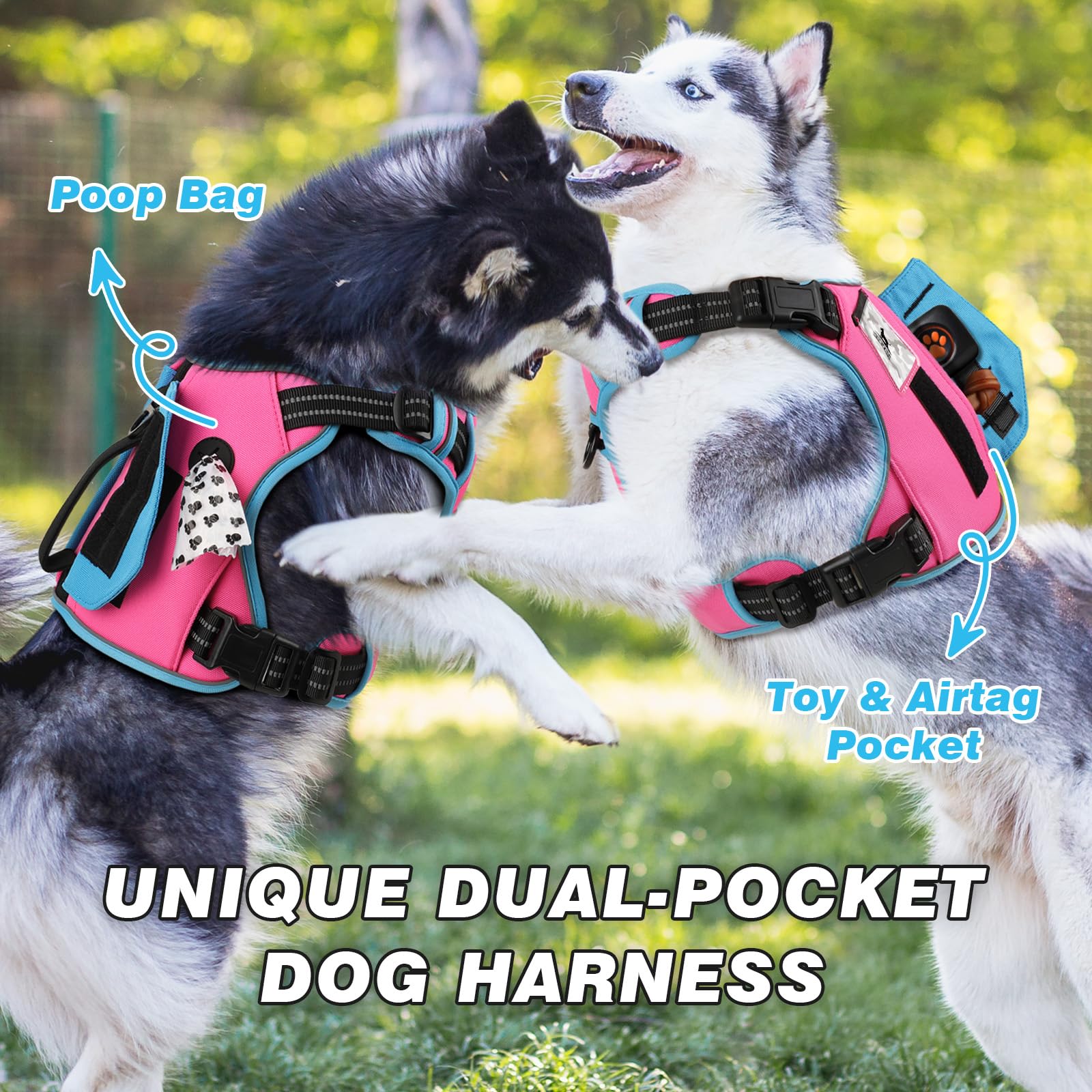 Wingoin Tactical Dog Harness For Small Dogs, No Pull Harness With Handle Pockets Poop Bag, Reflective Dog Vest, Military Service Heavy Duty Big Dog Harness For Walking Hiking Training, Pink Blue, S