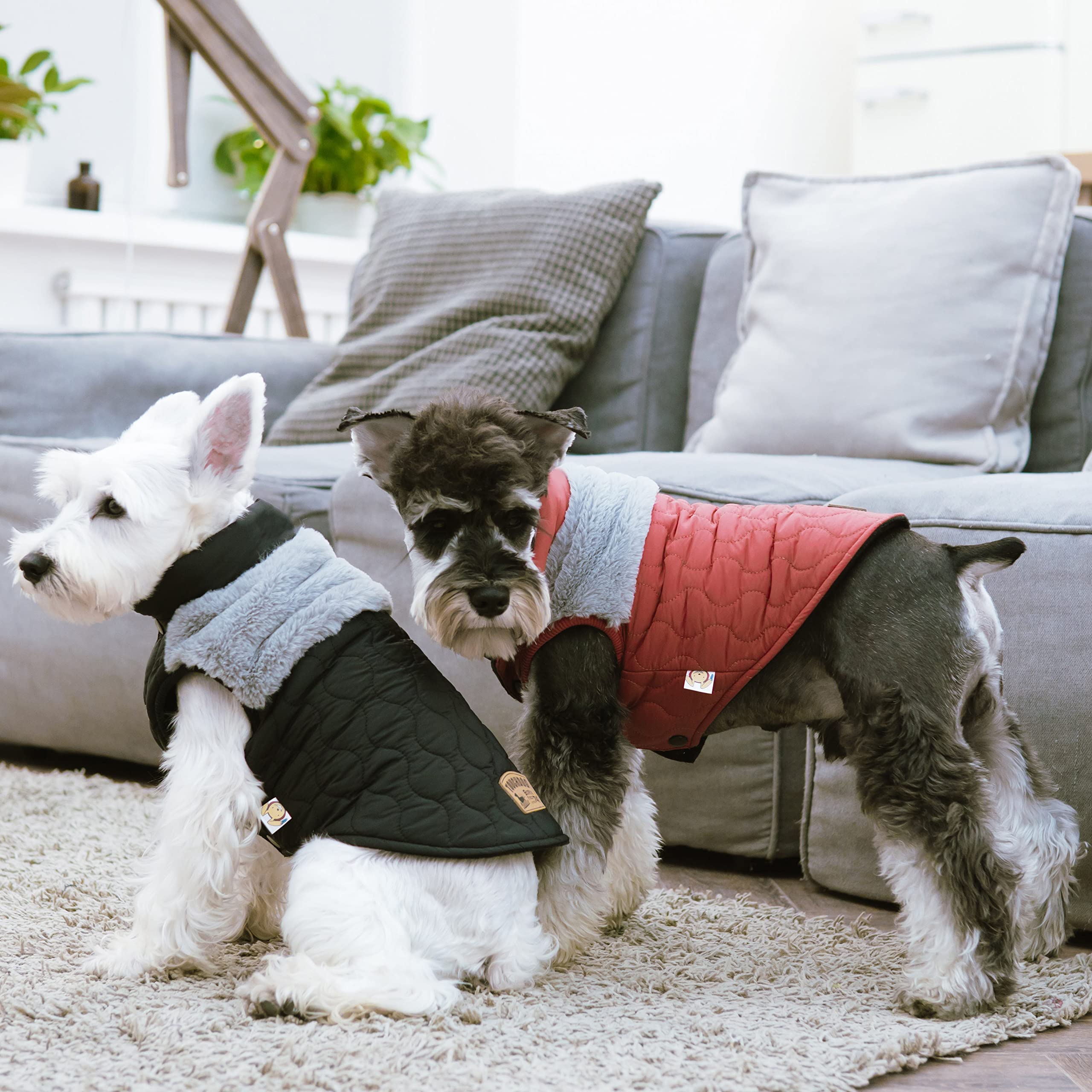 Touchdog 'Furrost-Bite' Fur and Fleece Fashion Dog Jacket, Small, Red