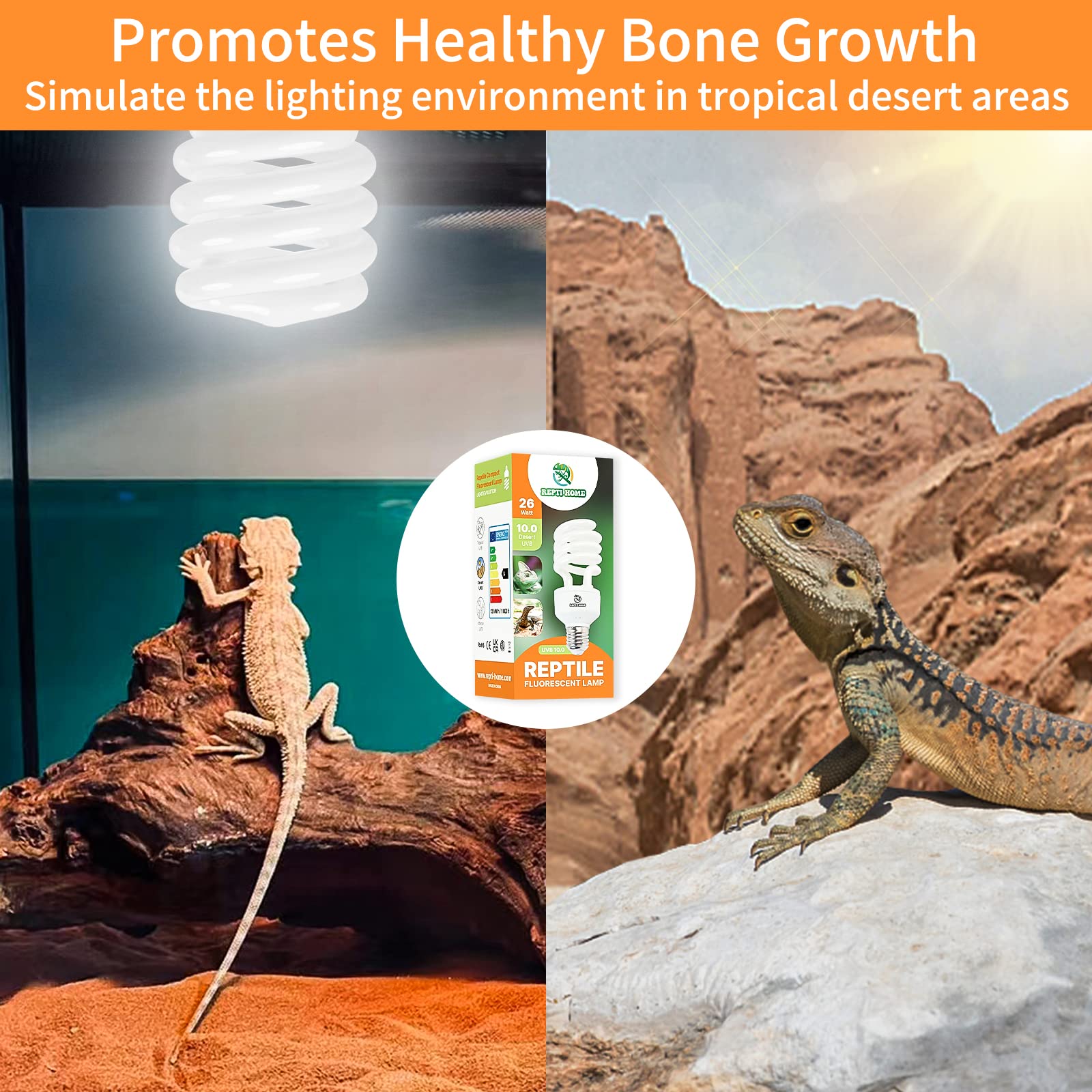 REPTI HOME UVB Reptile Light 10.0 - 26W Desert UVA UVB Bulb for Bearded Dragons, Lizards, Tortoises, Snakes, and Ge