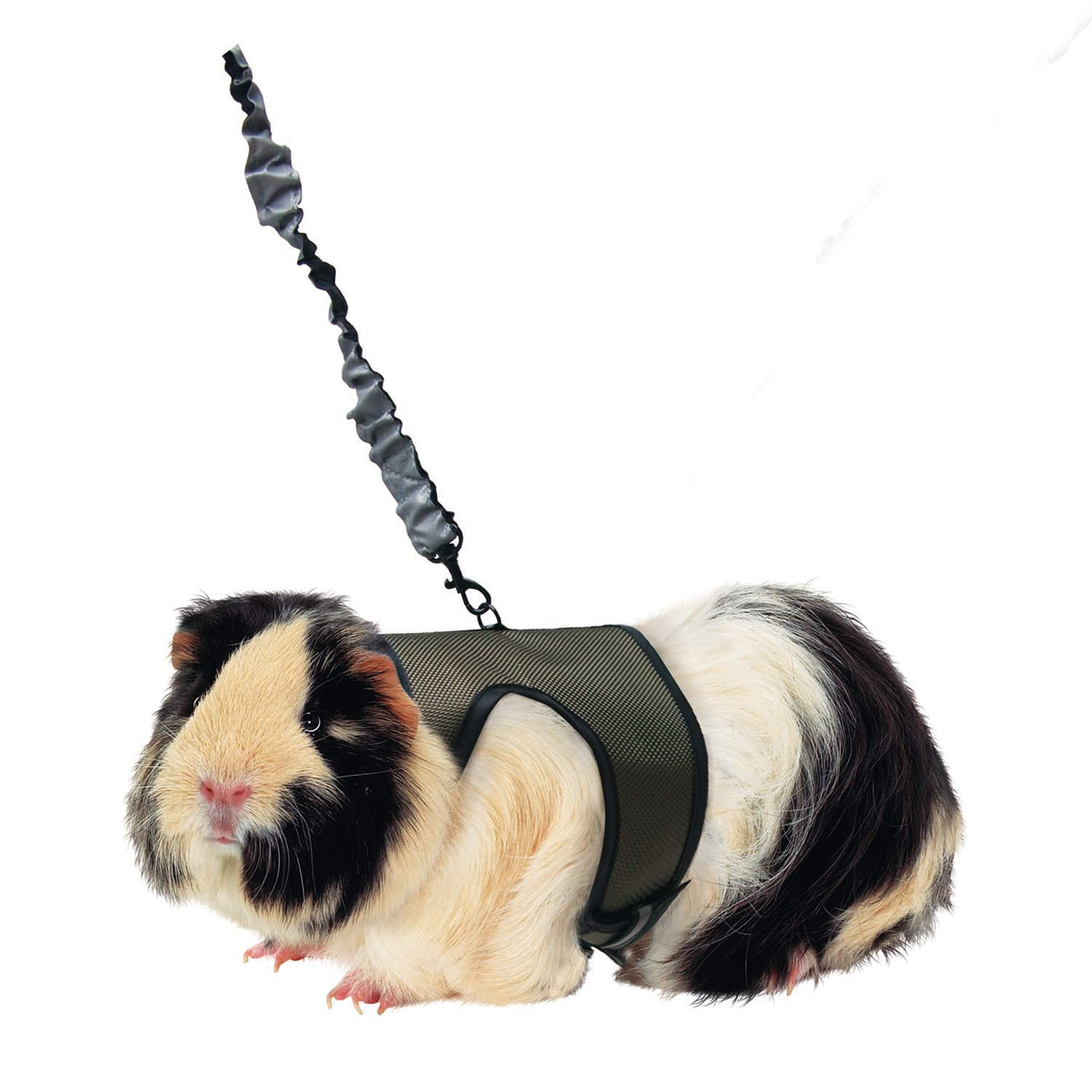 Kaytee Comfort Harness And Stretch Leash Large
