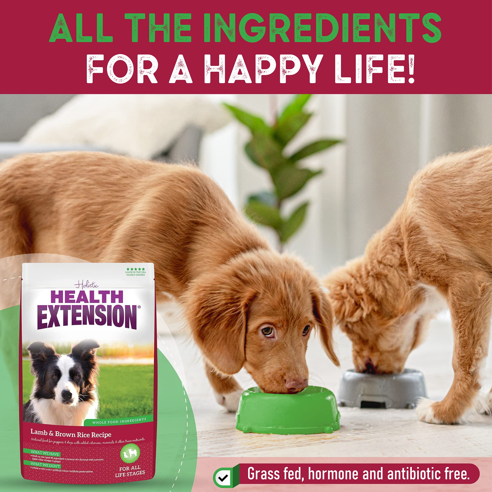 Health Extension Lamb & Brown Rice Dry Dog Food (1 lb / 0.45 kg) - Nutritious Free-Range Lamb Formula with Probiotics, Antioxida