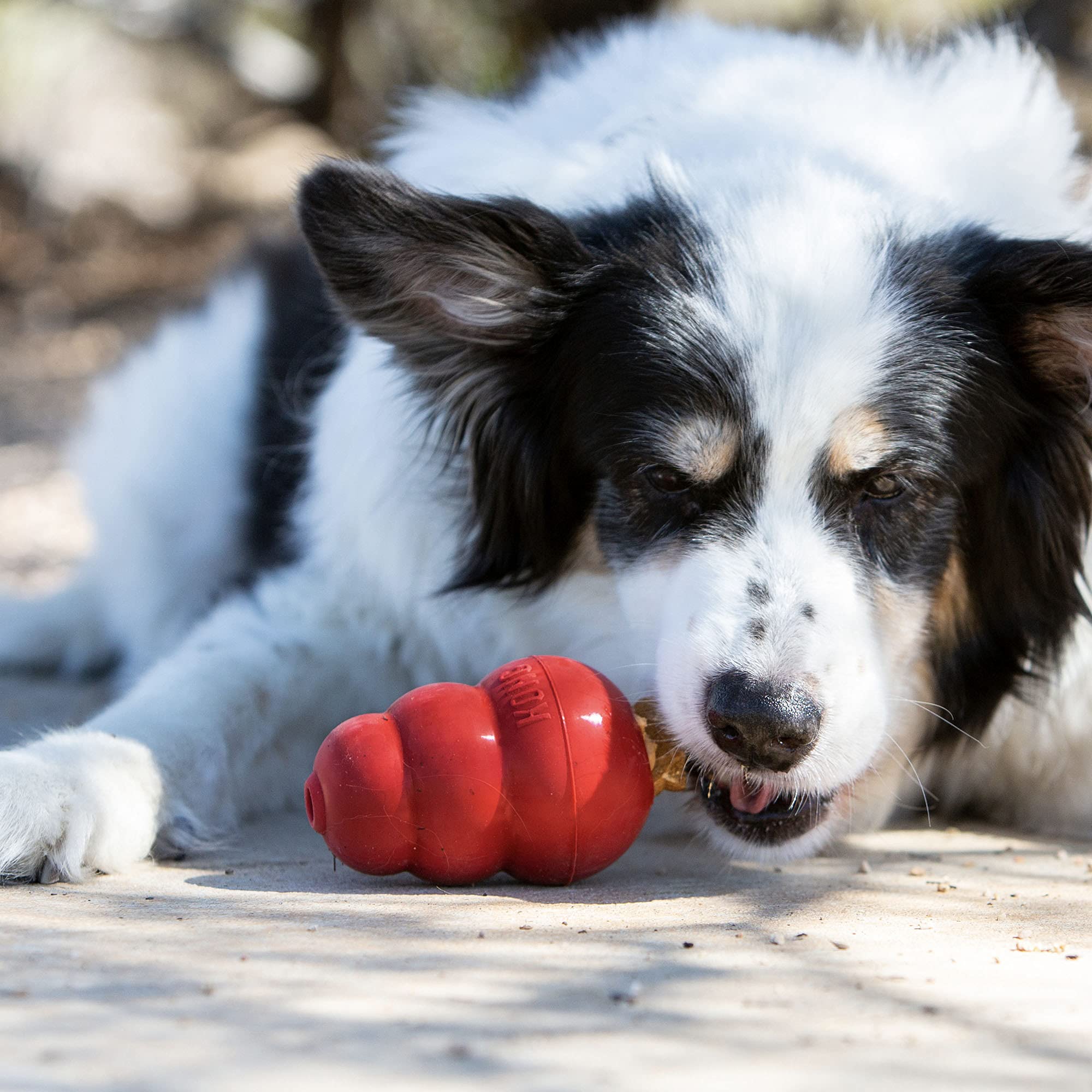 KONG - Snacks - All Natural Dog Treats (Best used with KONG Rubber Toys) - Bacon and Cheese Biscuits - For Small Dogs