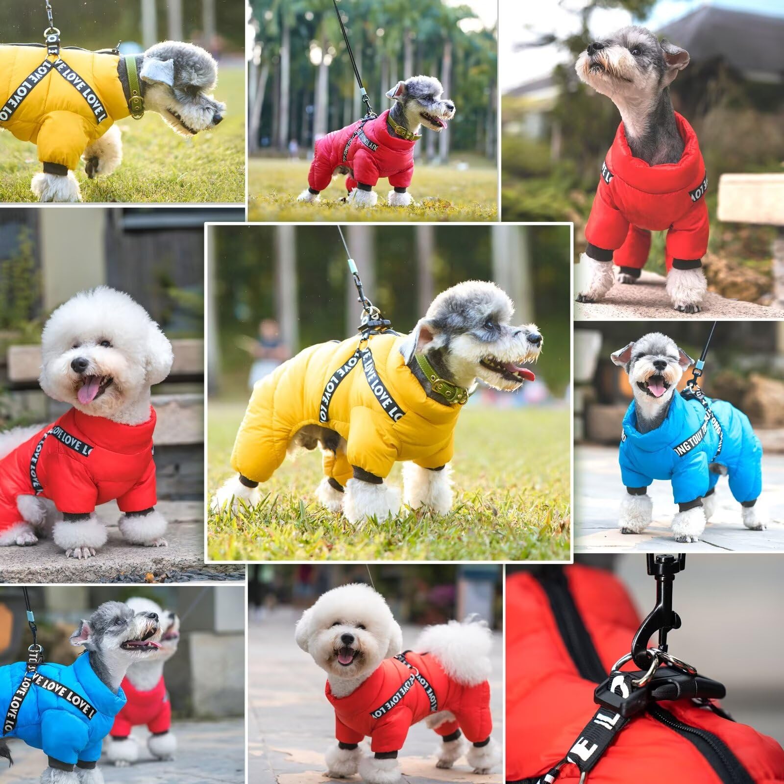 Didog Winter Small Dog Coats,Waterproof Jackets With Harness & D Rings, Warm Zip Up Cold Weather Coats For Puppy & Cats Walking