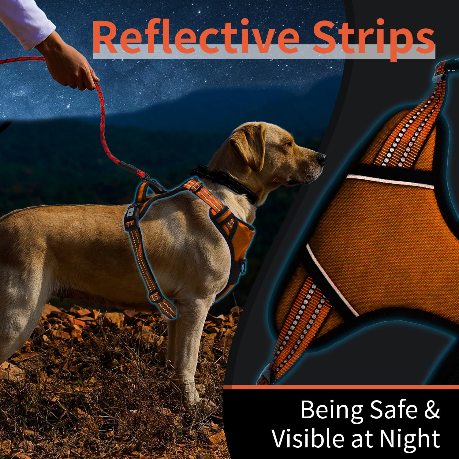 kazazoo Dog Harness, No-Pull Pet Breathable Harness, Adjustable Soft Padded Dog Vest with 2 Leash Clips, Reflective No-Choke Pet