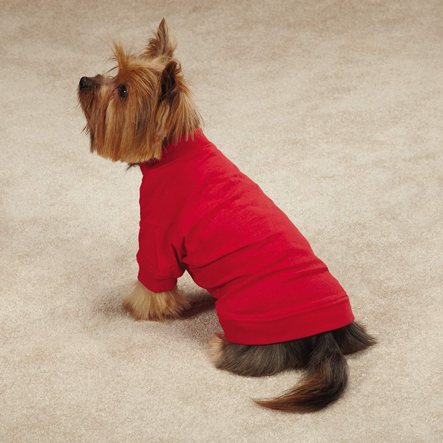 Zack & Zoey Basic Tee Shirt for Dogs, 10 X-Small, Tomato Red