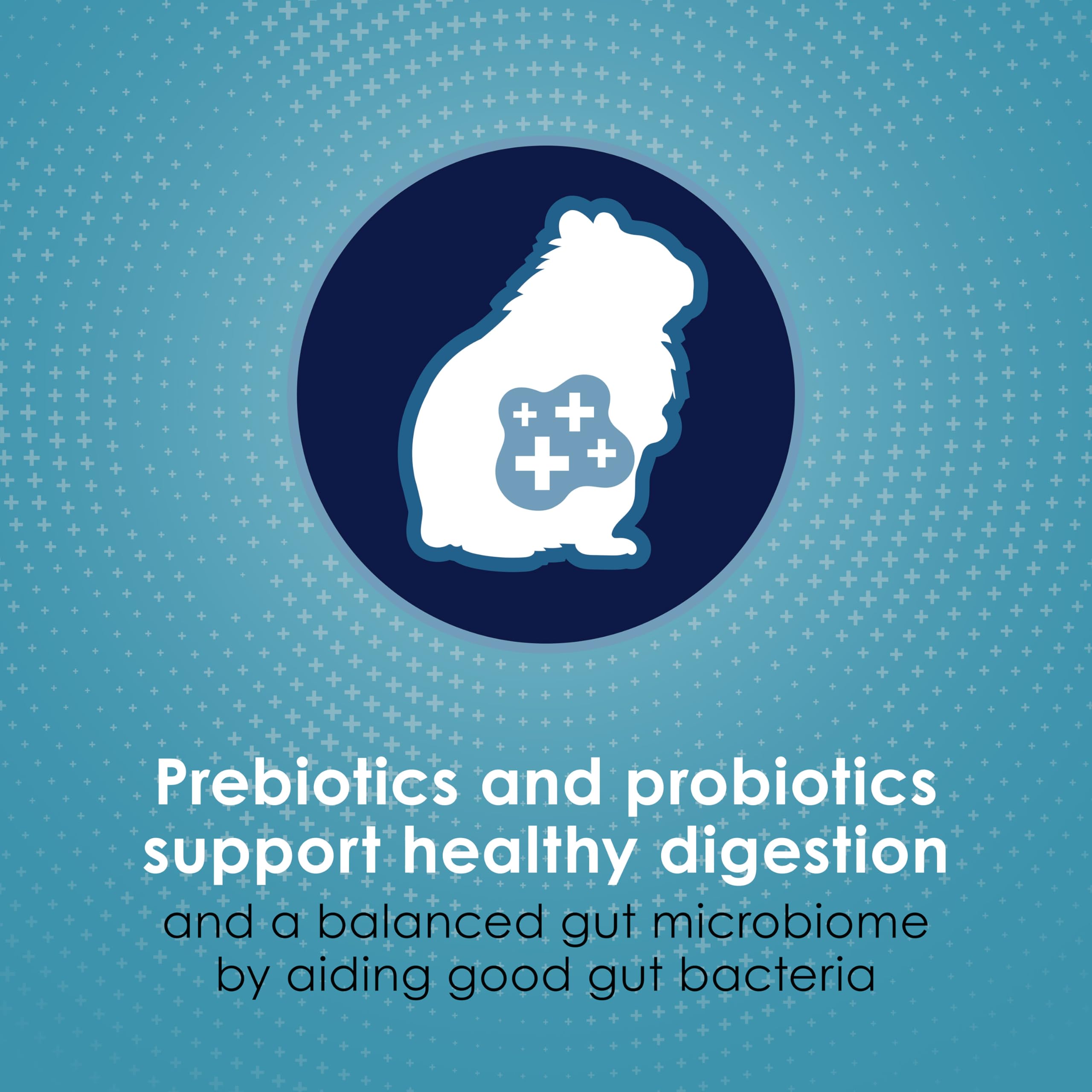 Kaytee Forti-Diet Pro Health Nourish+Protect Hamster and Gerbil Food, Comprehensive Nutrition Backed by Science, Digestive Healt