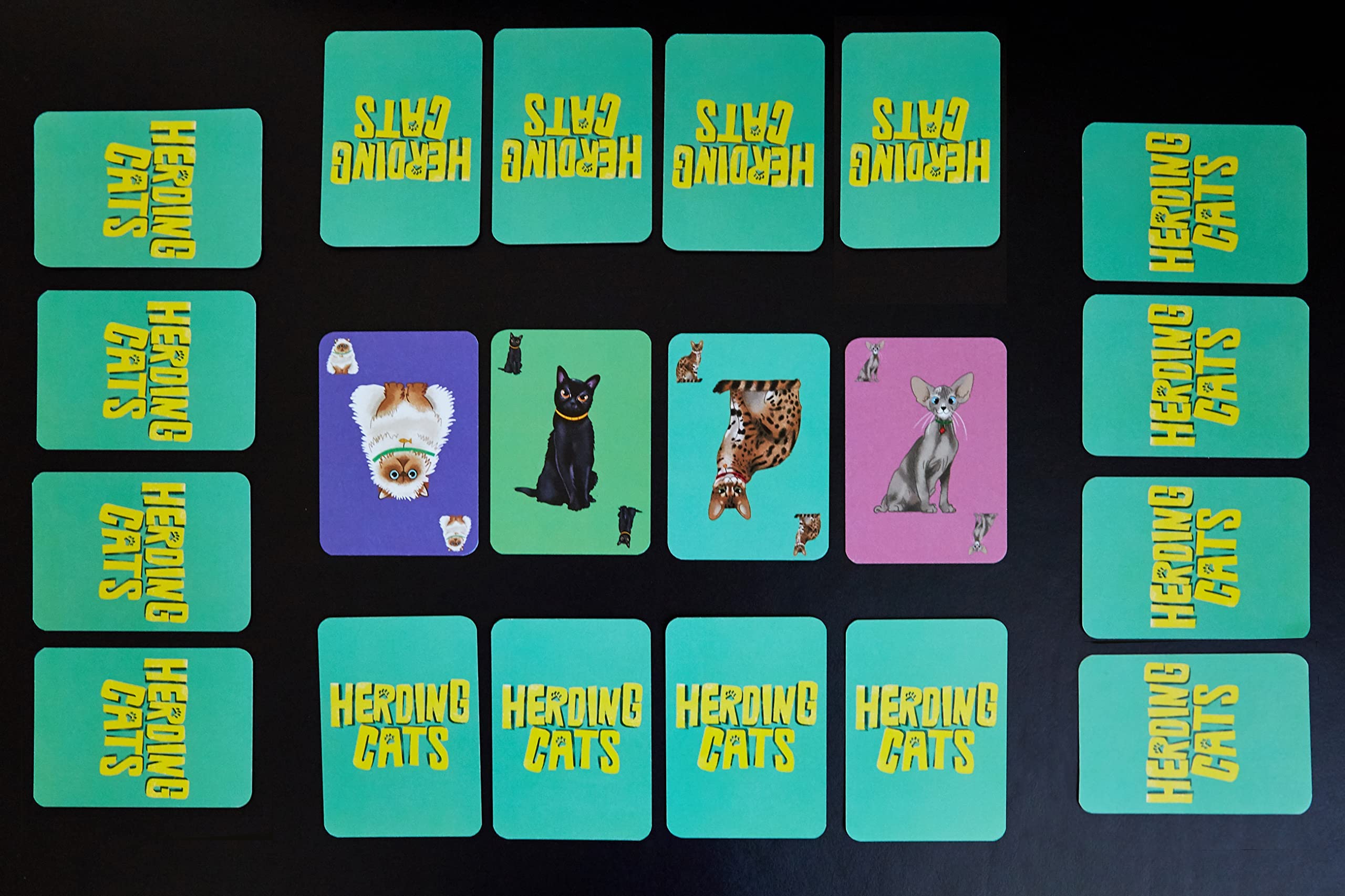 Clarendon Games Herding Cats