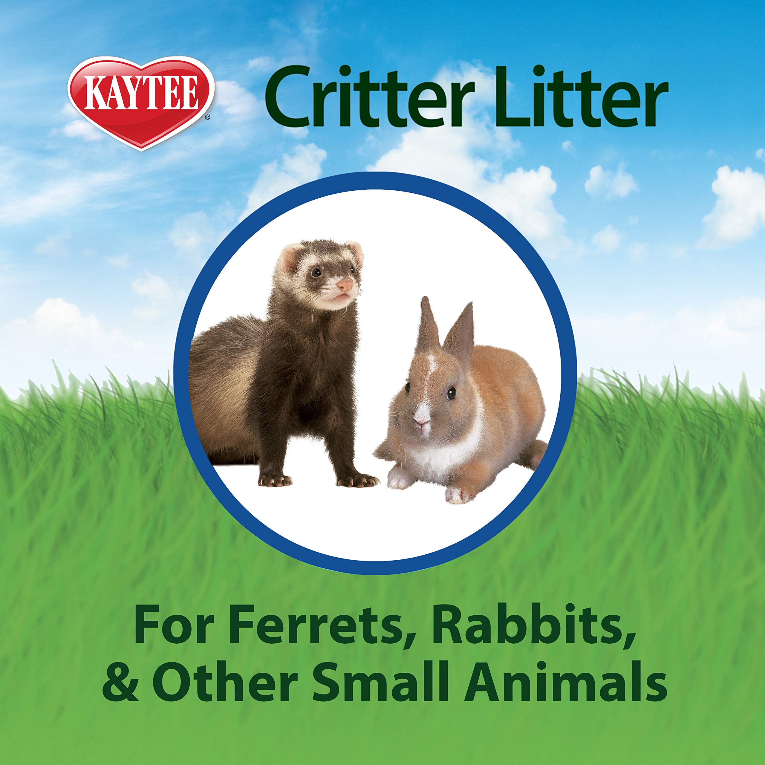 PI 8LB CRITTER LITTER