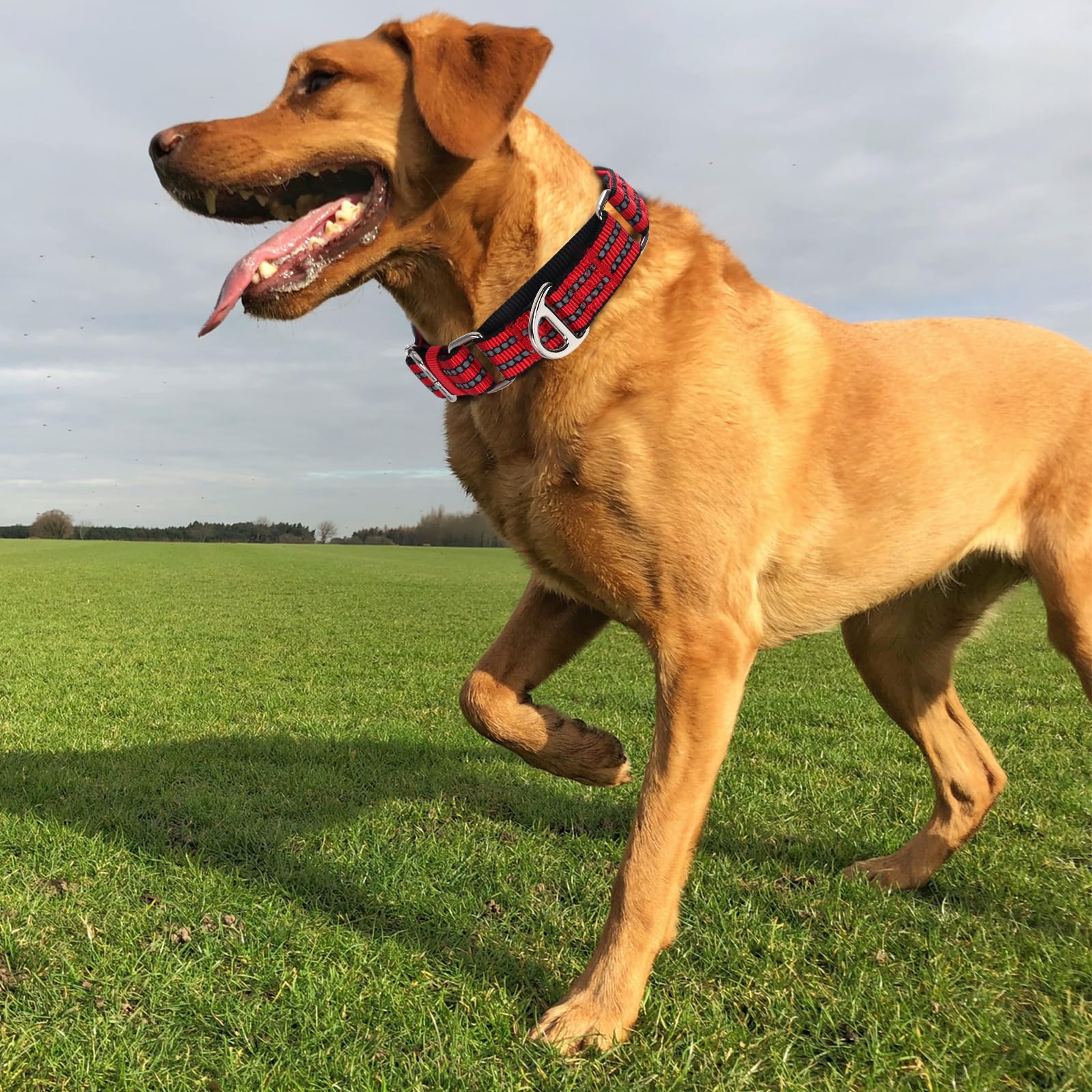 Martingale Collar For Large Dogs, Reflective Nylon No Pull Choke Collar With Padded Heavy-Safe Dog Collar For Training,Nighttime