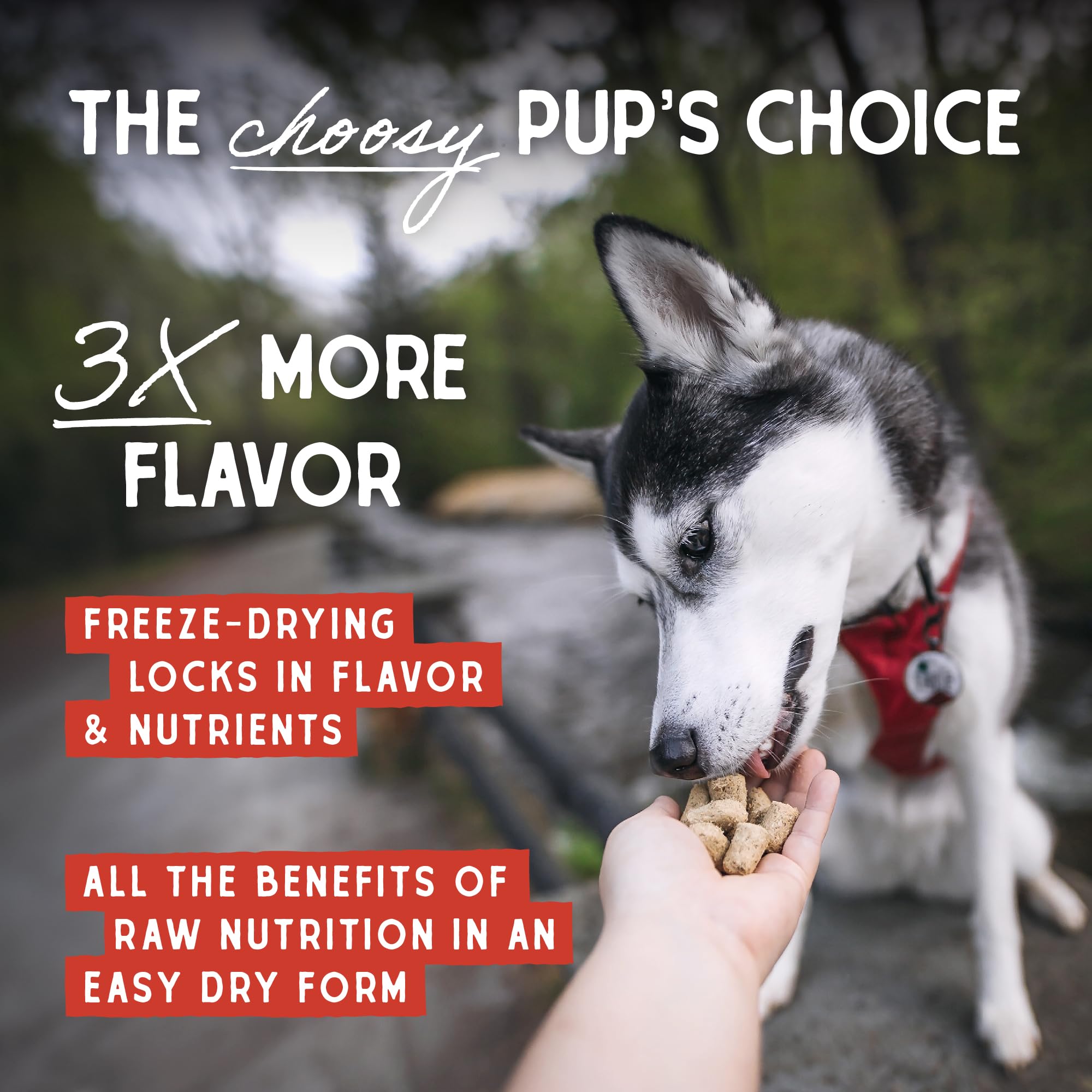 Stella & Chewys Freeze Dried Raw Surf & Turf Meal Mixer - Dog Food Topper for Small & Large Breeds - Grain Free, Protein Rich R