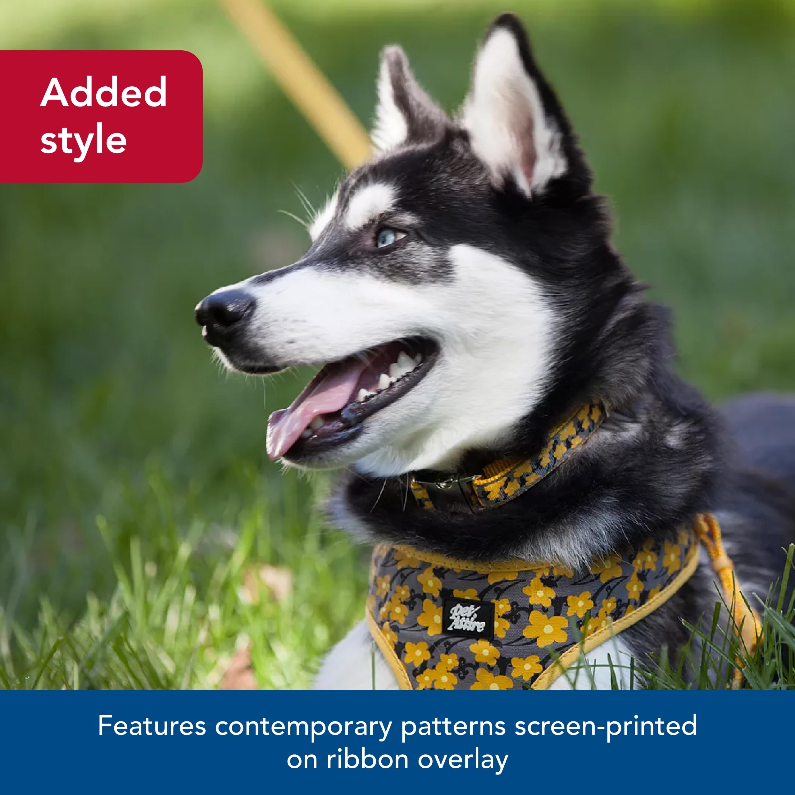 Coastal Pet - Ribbon - Adjustable Dog Collar With Metal Buckle, Brown Paws And Bones, 5/8' X 12'-18'
