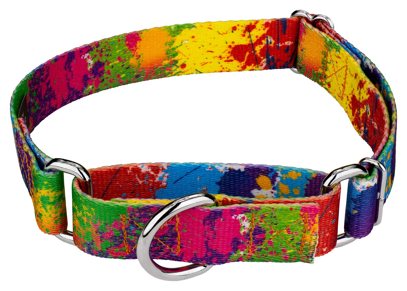 Country Brook Petz - Paint Splatter Martingale Dog Collar - Groovy Collection Featuring Far Out Designs (1 Inch, Medium)