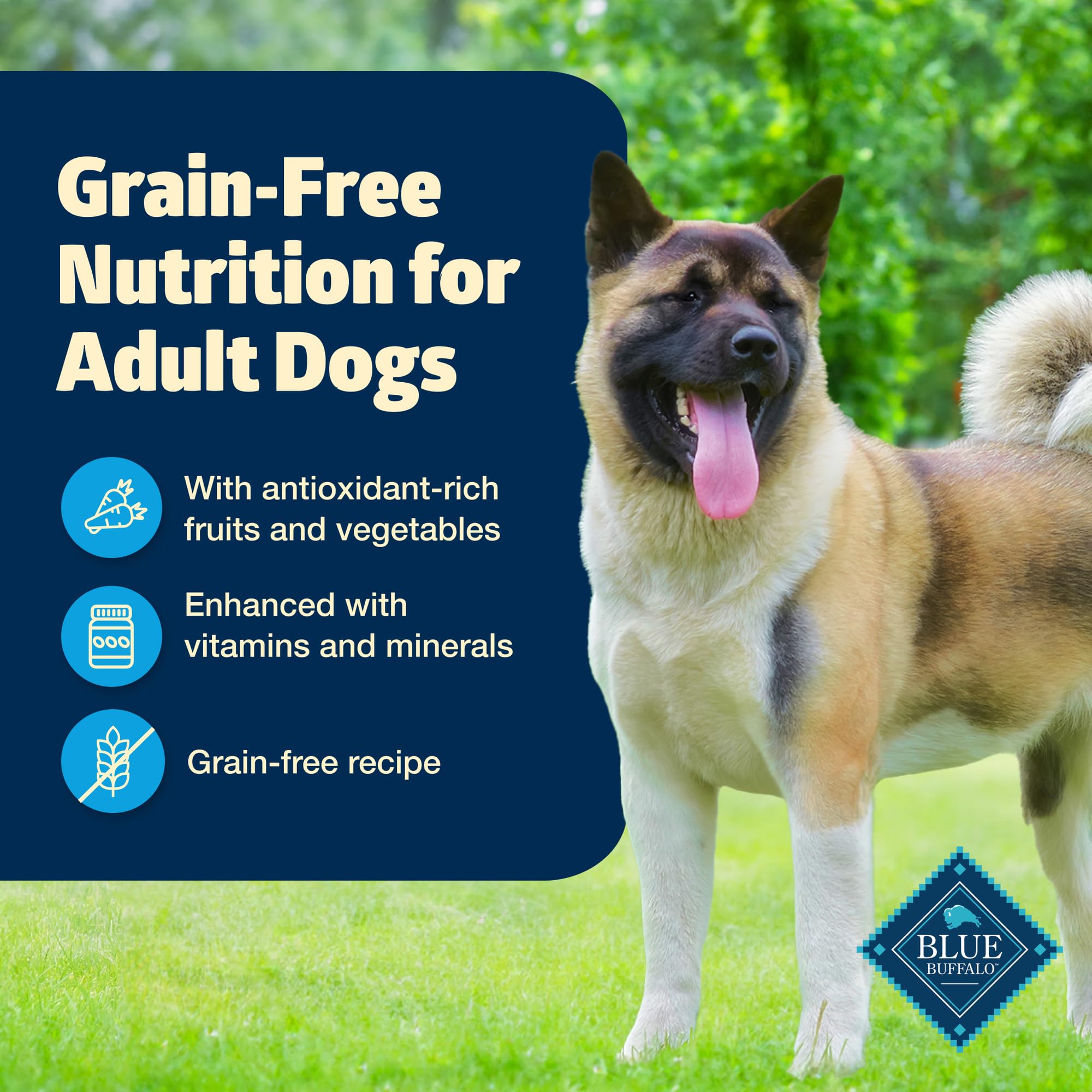 Blue Buffalo Freedom Grain-Free Wet Dog Food, Free of Glutens & Artificial Preservatives, Made with Natural Ingredients, Chicken