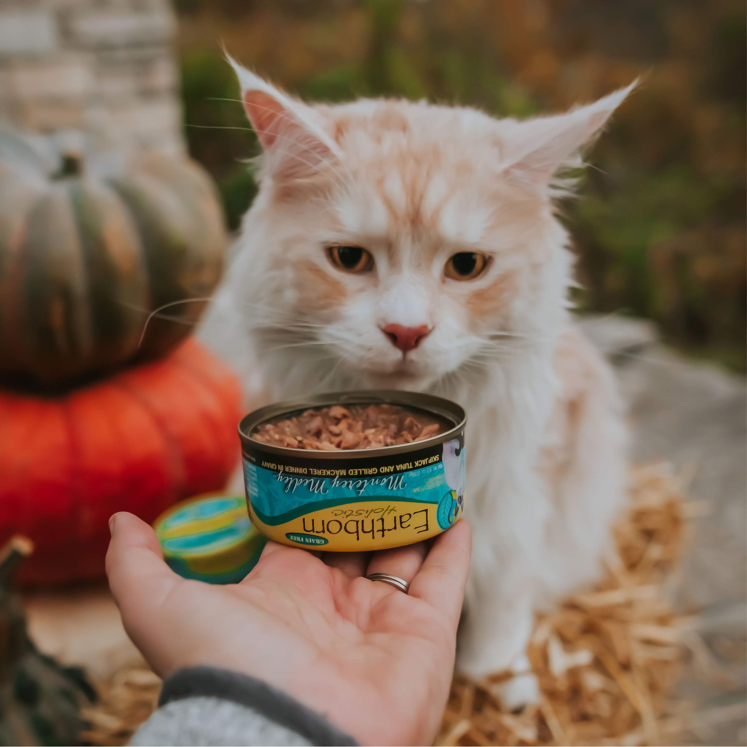 Earthborn Holistic Monterey Medley Skipjack Tuna and Grilled Mackerel Dinner Wet Cat Food, 3-Ounce Per Pacakge, 24-Pack