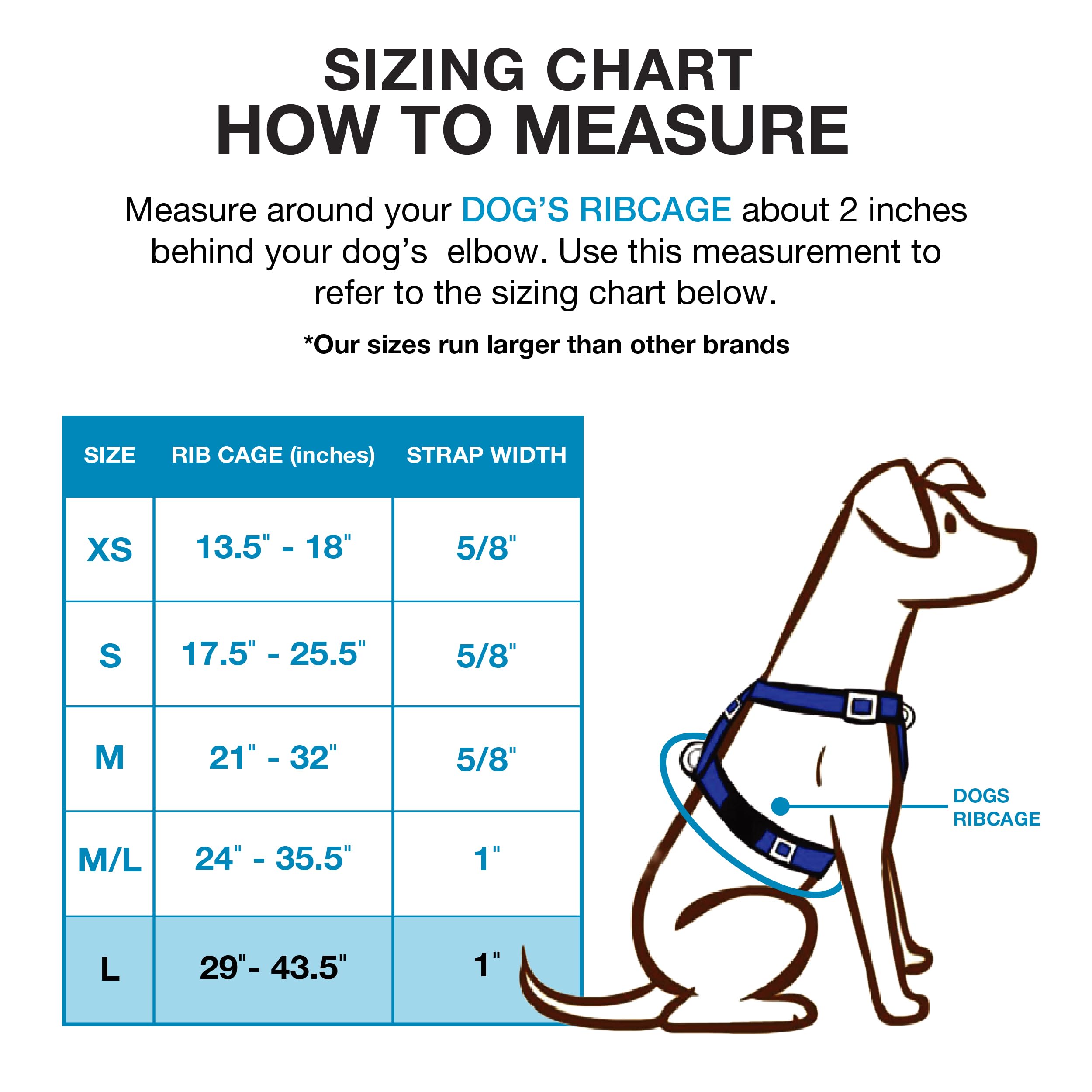 Blue-9 Buckle-Neck Balance Harness, Fully Customizable Fit No-Pull Harness, Ideal For Dog Training And Obedience, Made In The Usa, Orange, Large