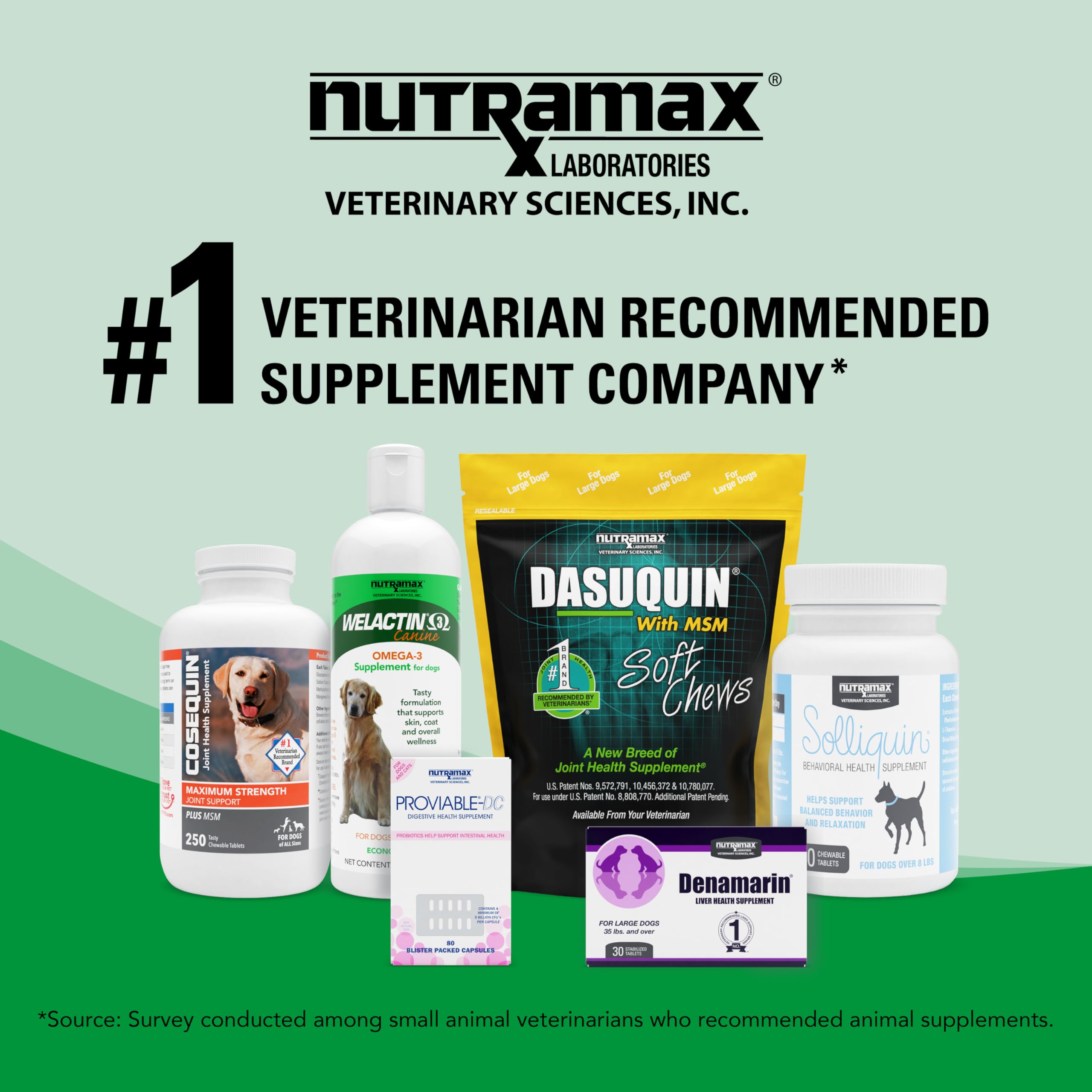 Nutramax Welactin Omega-3 Fish Oil Skin and Coat Health Supplement Liquid for Dogs - 16 Ounce